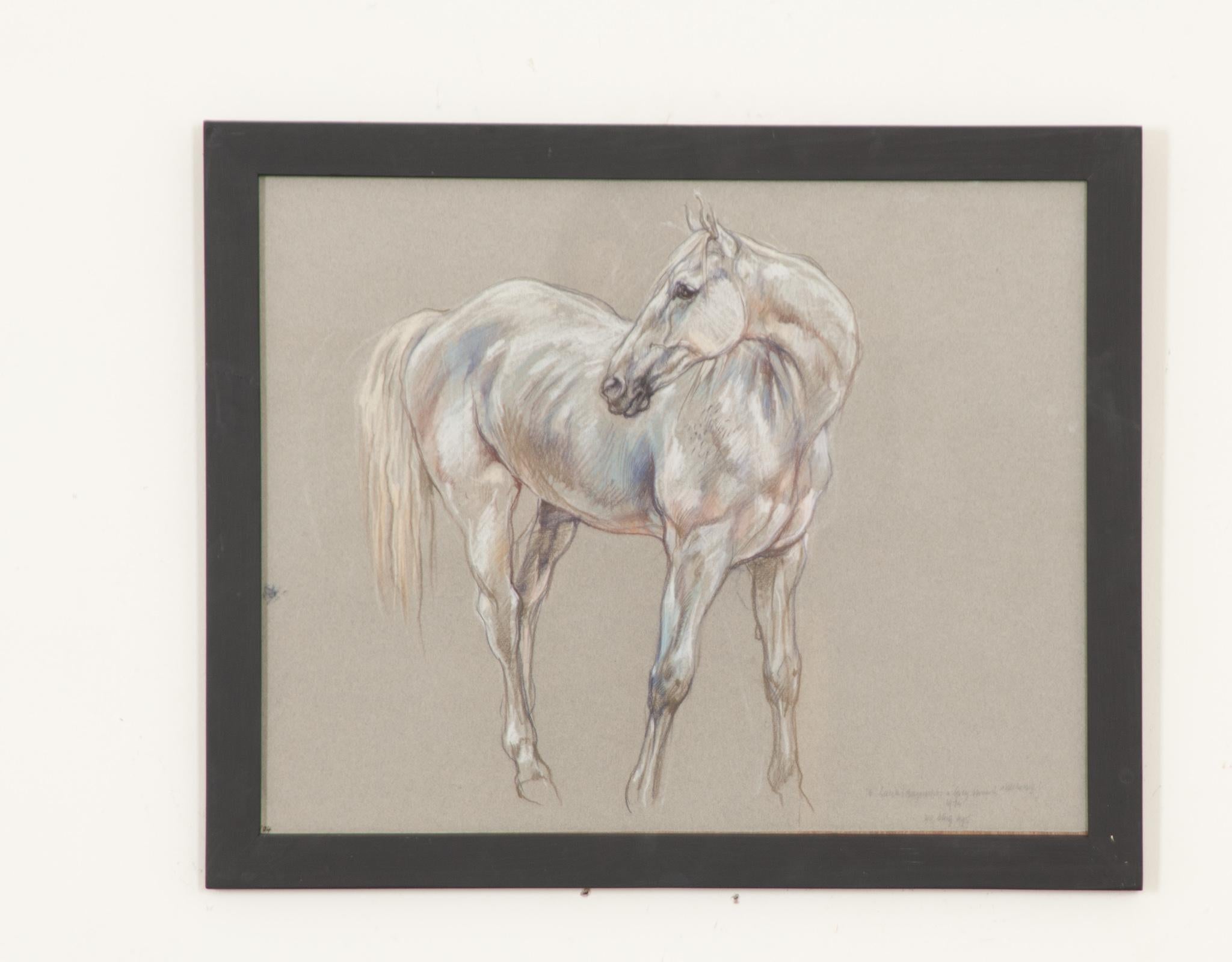 A beautiful piece from a larger collection of framed 20th century show horse drawings by Royal Academy artist Leslie Charlotte Benenson (1941-2018). A pastel study of exceptional quality on charcoal paper. Notes from the artist are at the bottom of