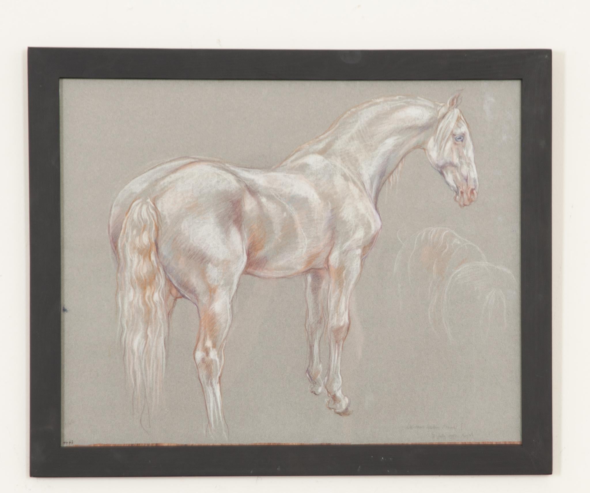 A beautiful piece from a larger collection of framed 20th century show horse drawings by Royal Academy artist Leslie Charlotte Benenson (1941-2018). A pastel study of exceptional quality on charcoal paper. Notes from the artist are at the bottom of