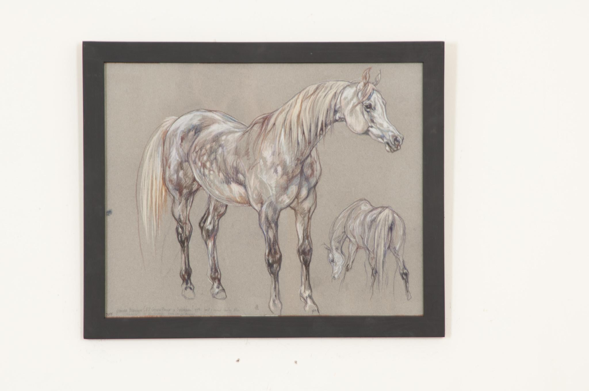 A beautiful piece from a larger collection of framed 20th century show horse drawings by Royal Academy artist Leslie Charlotte Benenson (1941-2018). A pastel study of exceptional quality on charcoal paper. Notes from the artist are at the bottom of