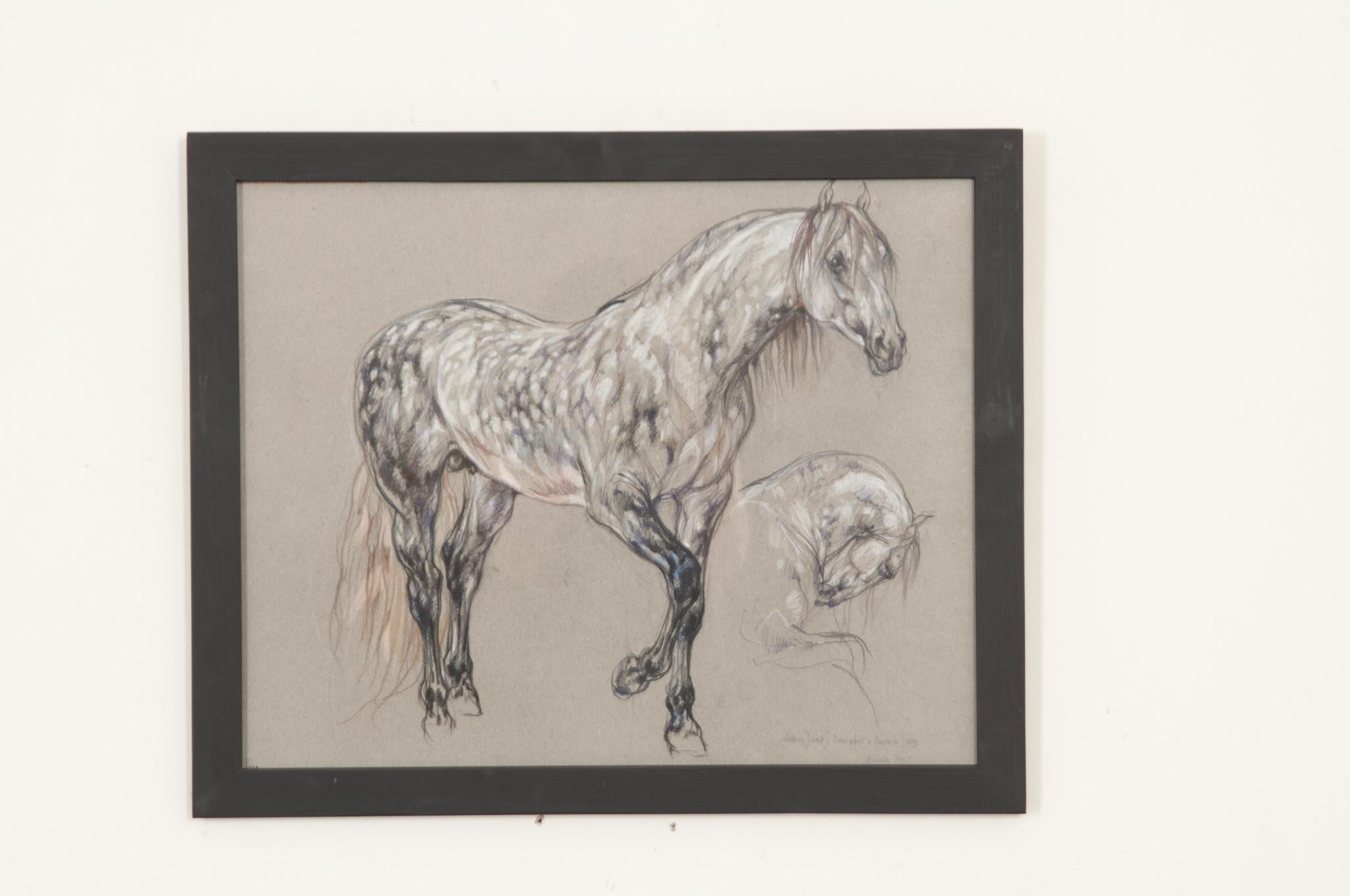 Show-Pferd-Zeichnung von Leslie Charlotte Benenson (Moderne) im Angebot