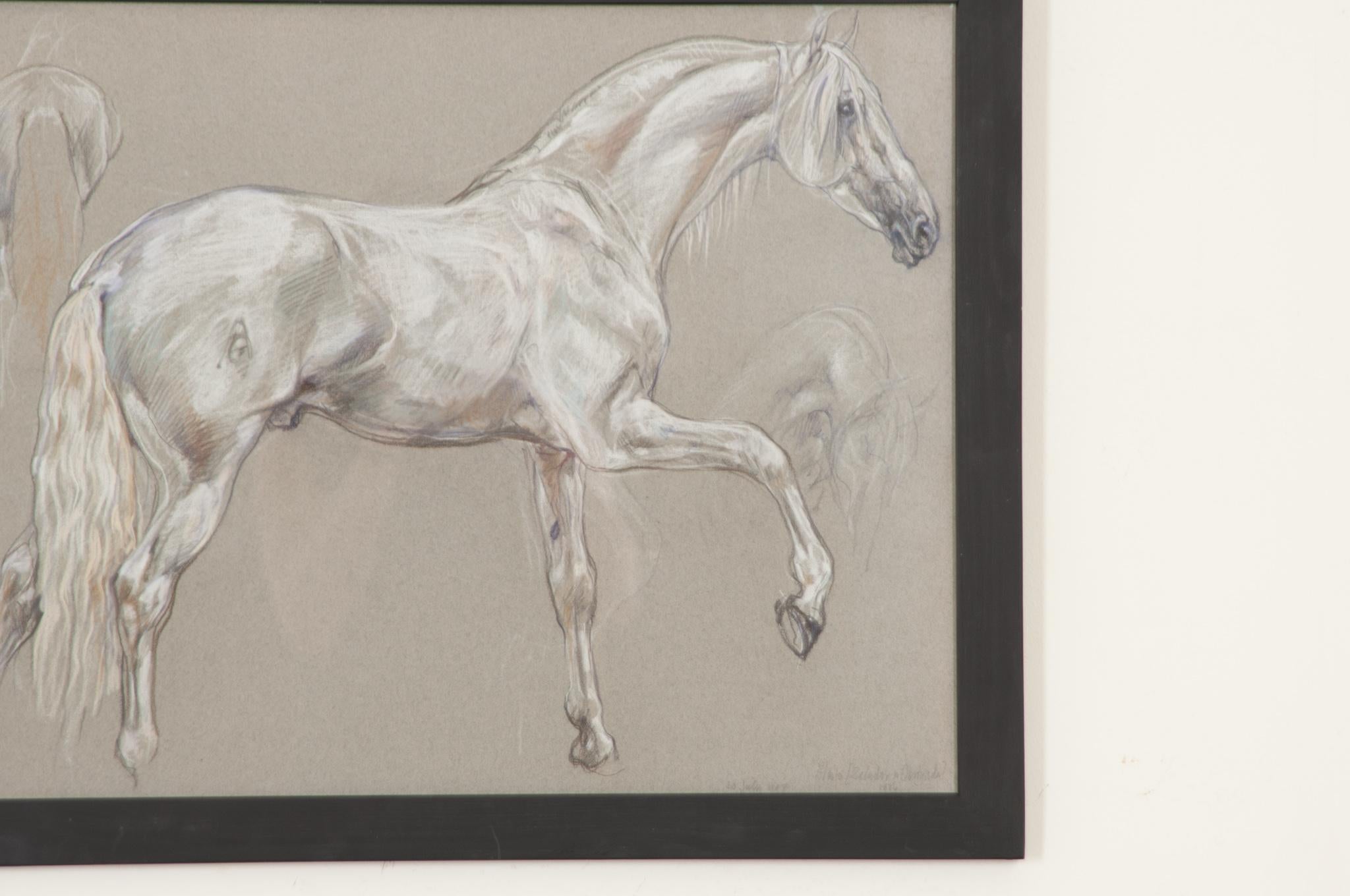 Modern Show Horse Drawing by Leslie Charlotte Benenson For Sale