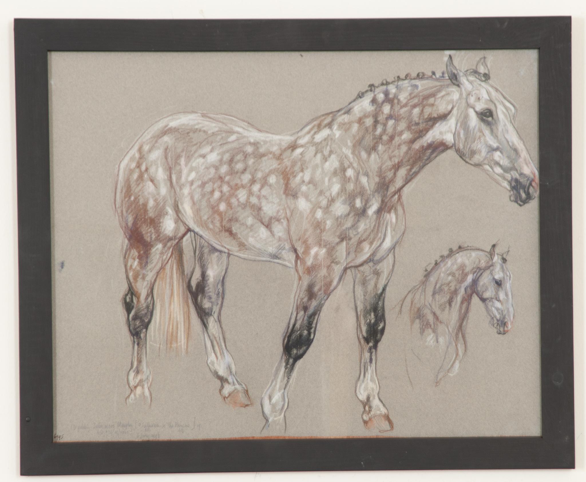 Modern Show Horse Drawing by Leslie Charlotte Benenson For Sale