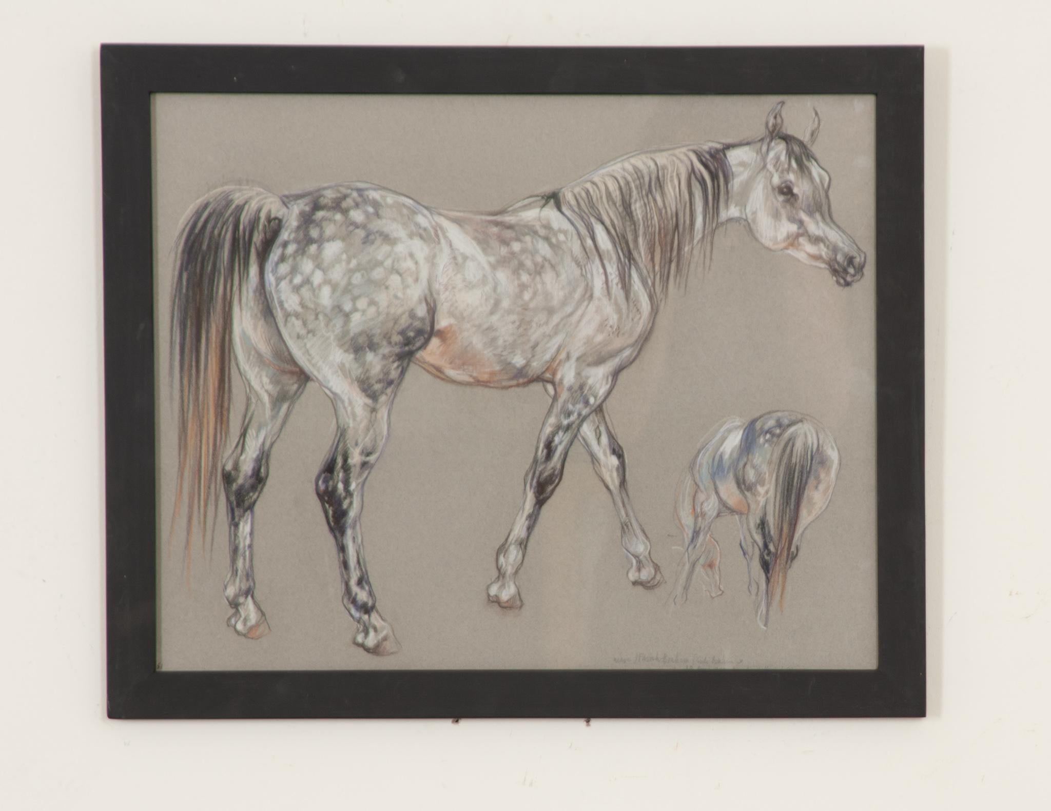 Modern Show Horse Drawing by Leslie Charlotte Benenson For Sale