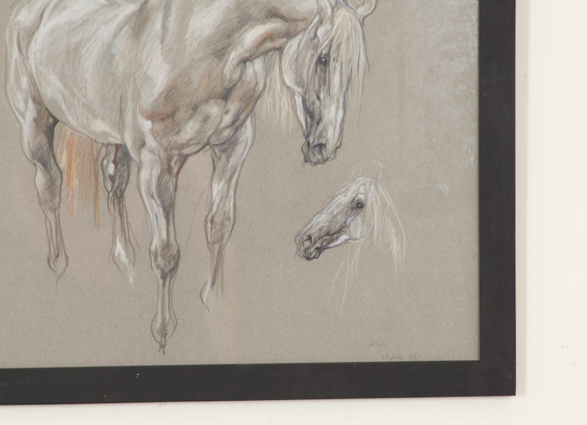 Modern Show Horse Drawing by Leslie Charlotte Benenson For Sale