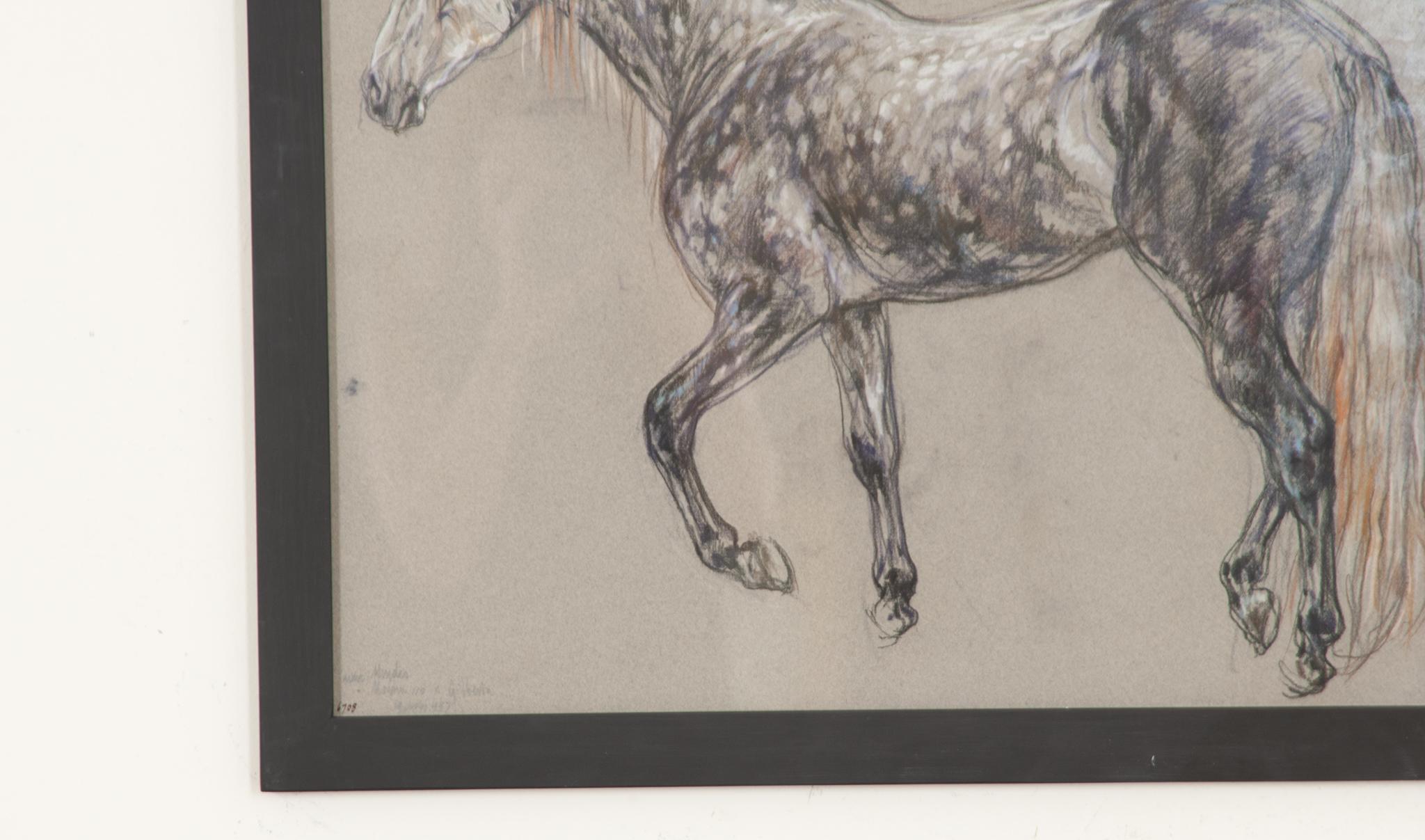 Modern Show Horse Drawing by Leslie Charlotte Benenson