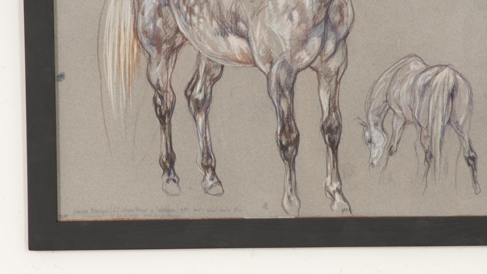 Modern Show Horse Drawing by Leslie Charlotte Benenson For Sale