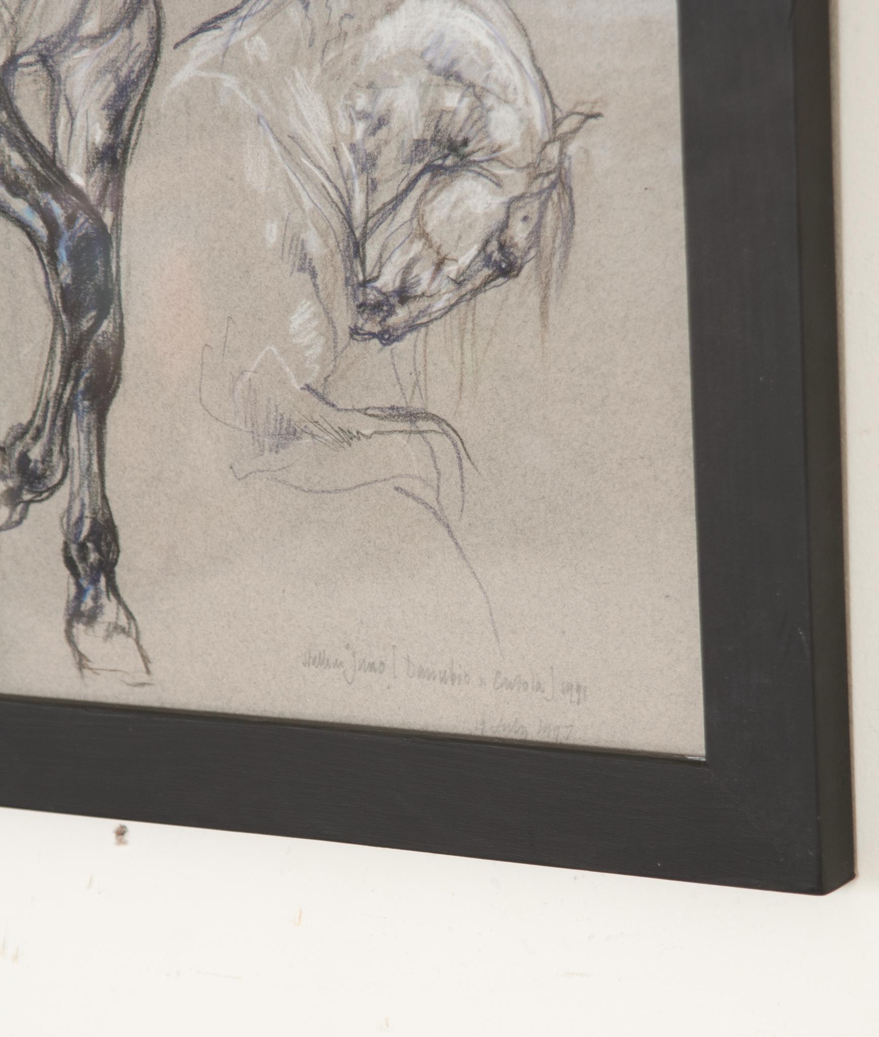 French Show Horse Drawing by Leslie Charlotte Benenson For Sale