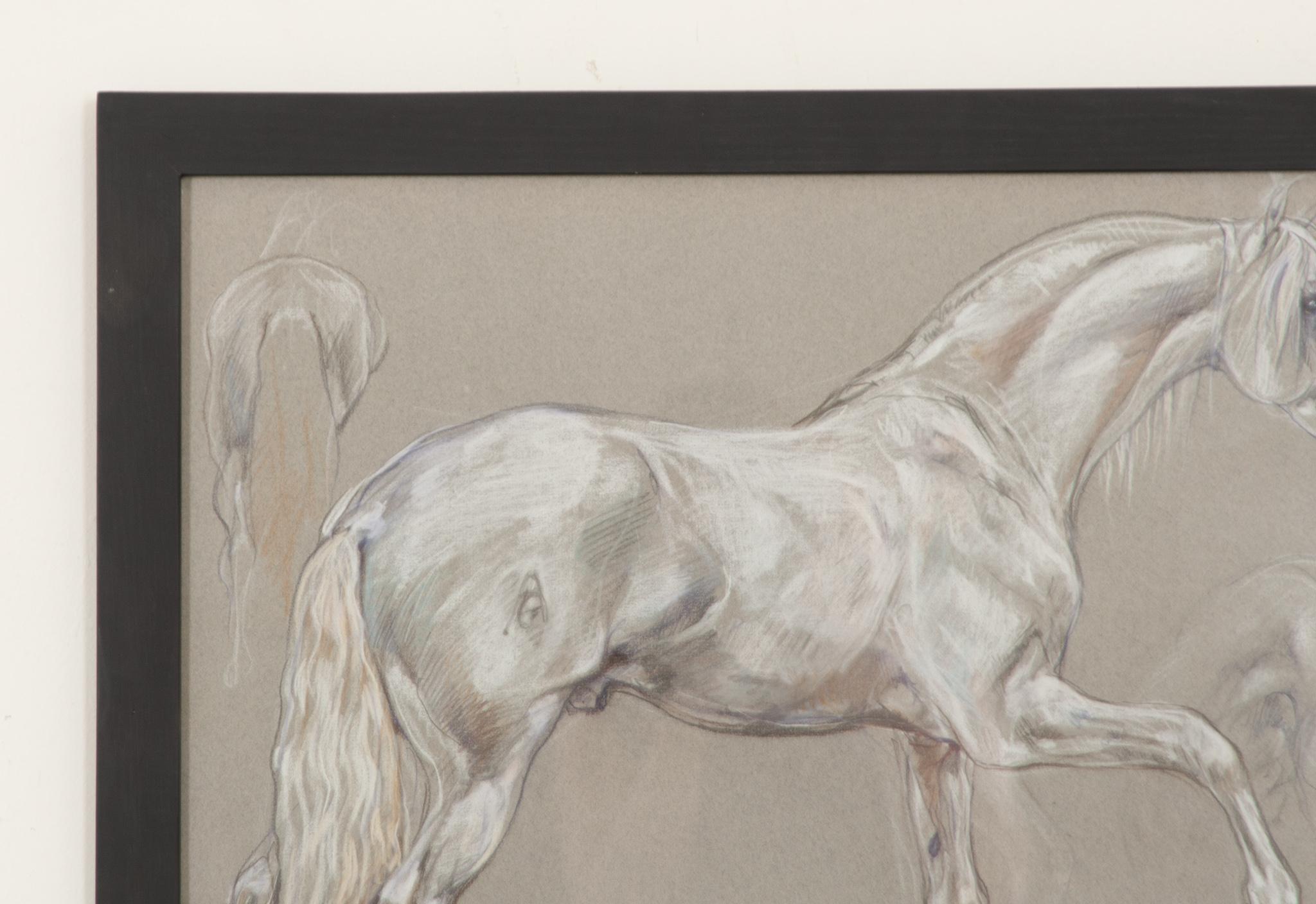 Show-Pferd-Zeichnung von Leslie Charlotte Benenson (Englisch) im Angebot