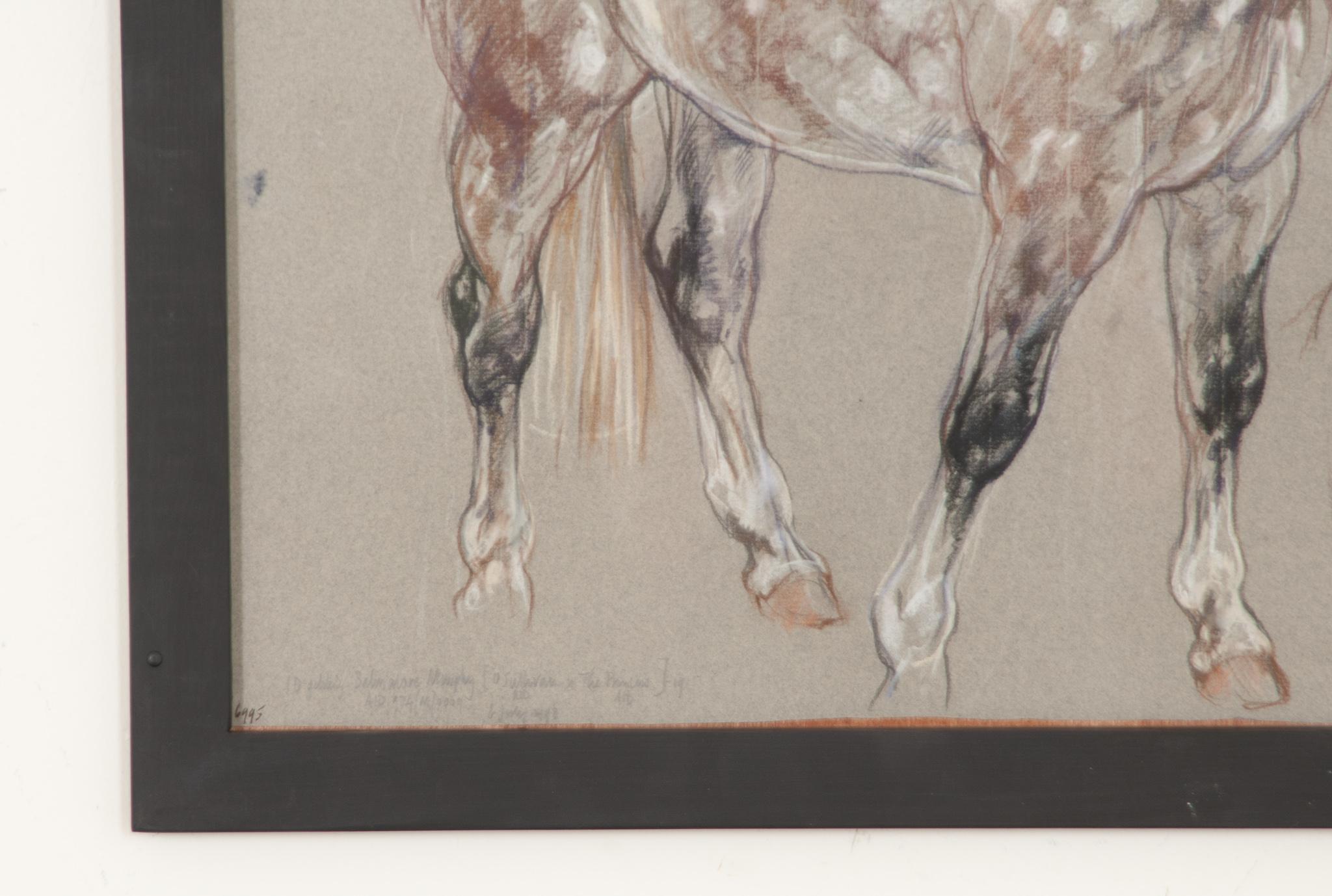 English Show Horse Drawing by Leslie Charlotte Benenson For Sale