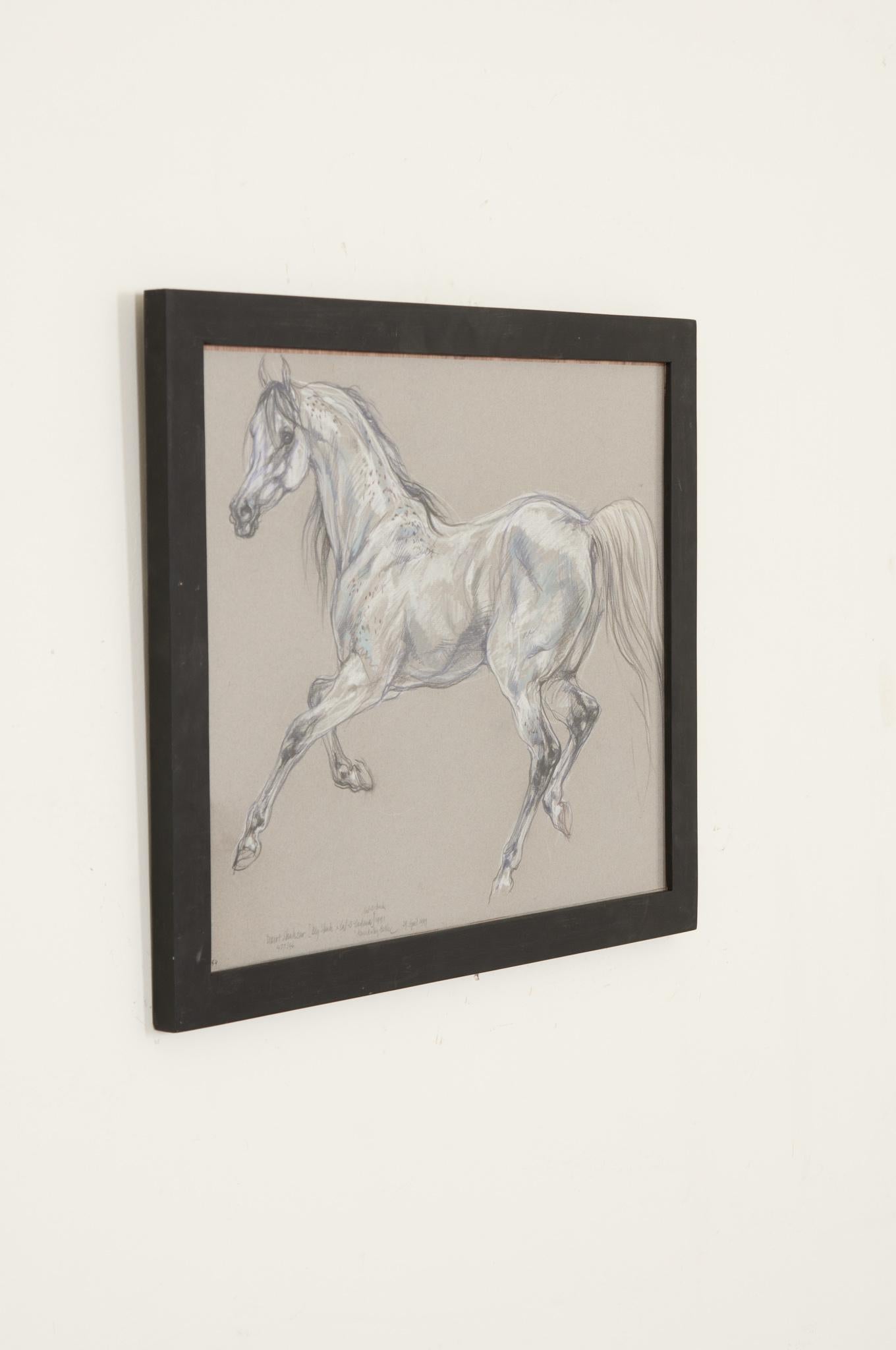 English Show Horse Drawing by Leslie Charlotte Benenson