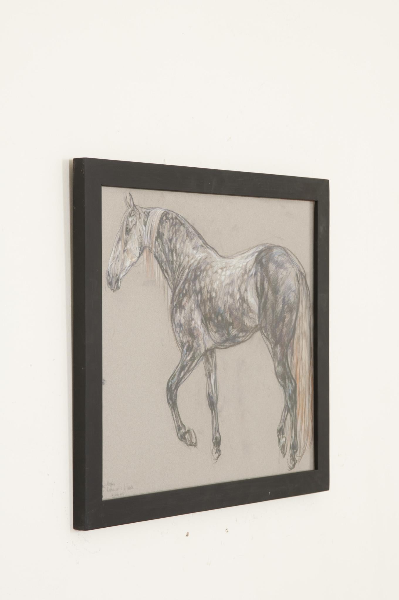 English Show Horse Drawing by Leslie Charlotte Benenson