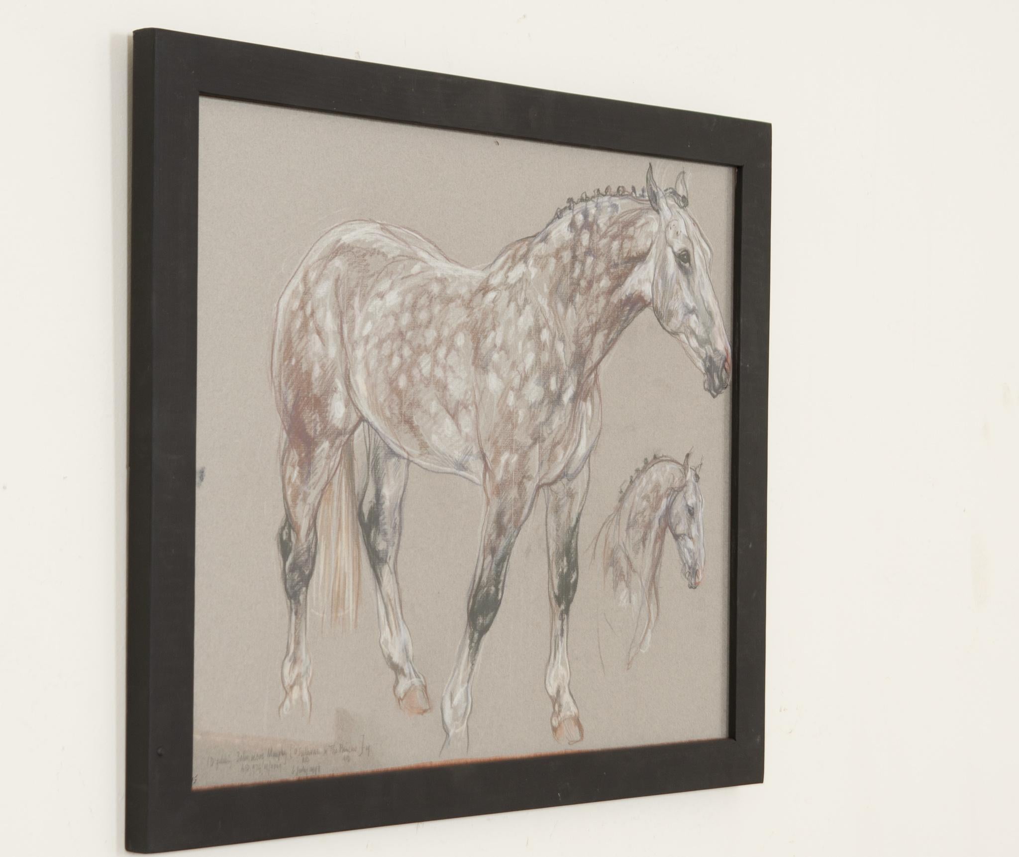 Show Horse Drawing by Leslie Charlotte Benenson In Excellent Condition For Sale In Baton Rouge, LA