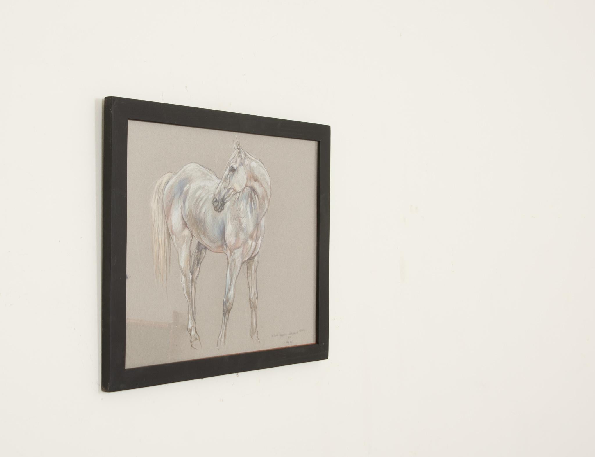 Show Horse Drawing by Leslie Charlotte Benenson In Excellent Condition For Sale In Baton Rouge, LA