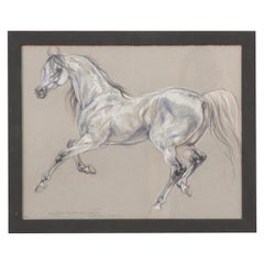 Show Horse Drawing by Leslie Charlotte Benenson