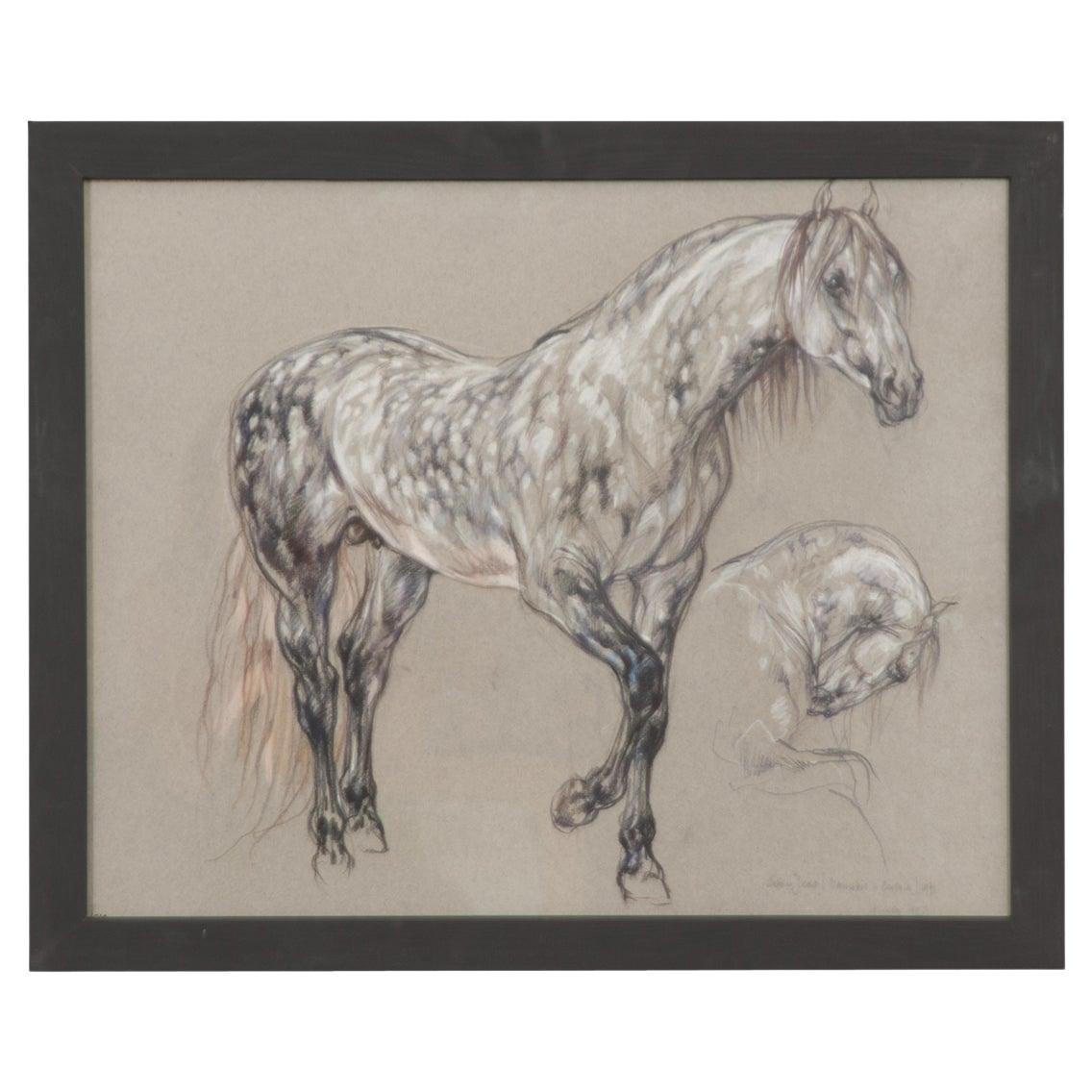 Show-Pferd-Zeichnung von Leslie Charlotte Benenson im Angebot