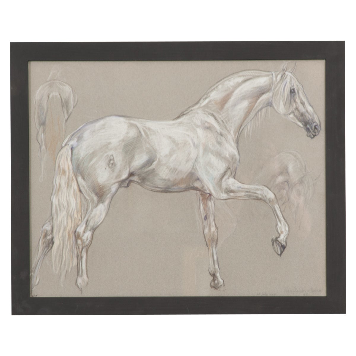 Show Horse Drawing by Leslie Charlotte Benenson