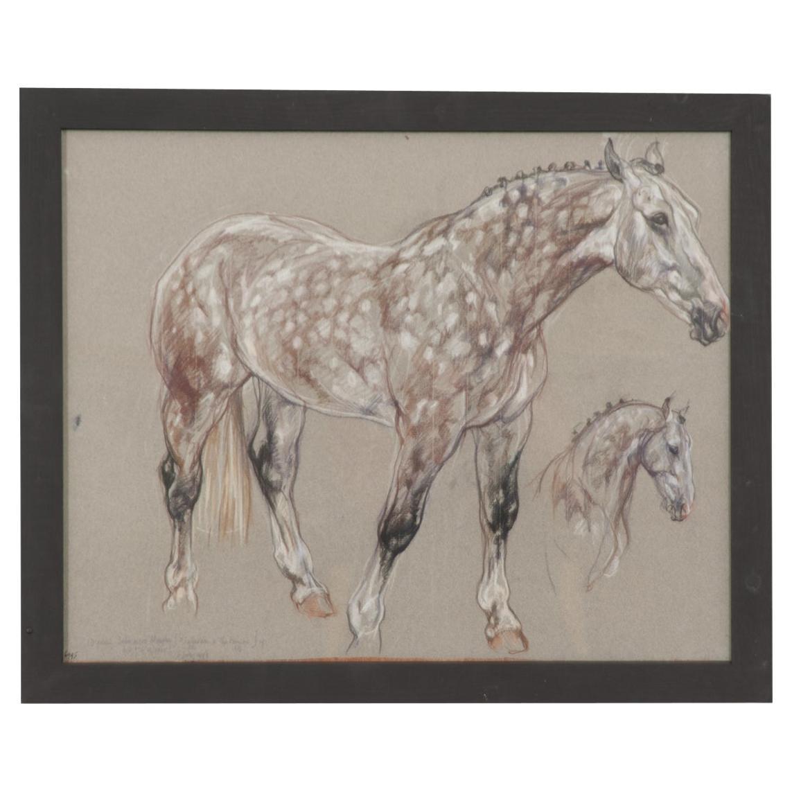 Show Horse Drawing by Leslie Charlotte Benenson For Sale