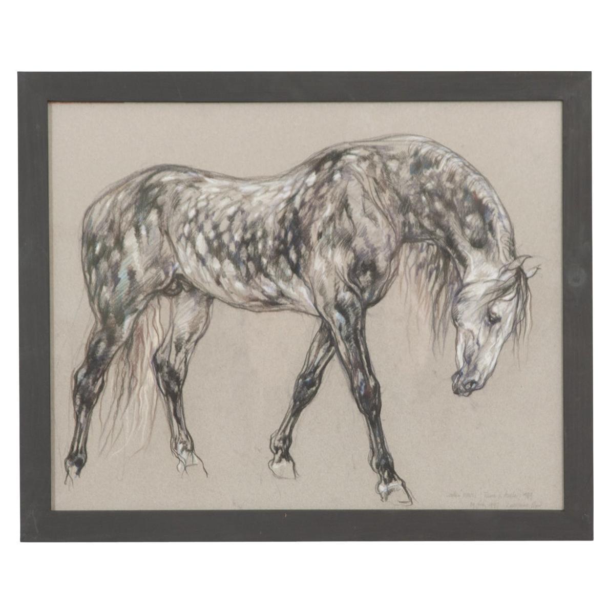 Show Horse Drawing by Leslie Charlotte Benenson For Sale