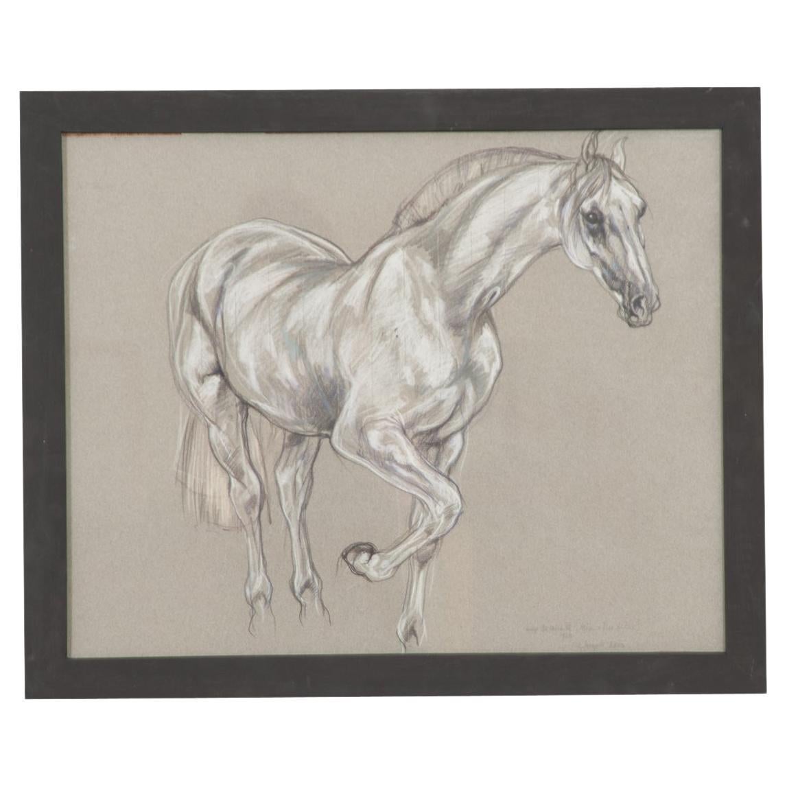 Show Horse Drawing by Leslie Charlotte Benenson For Sale