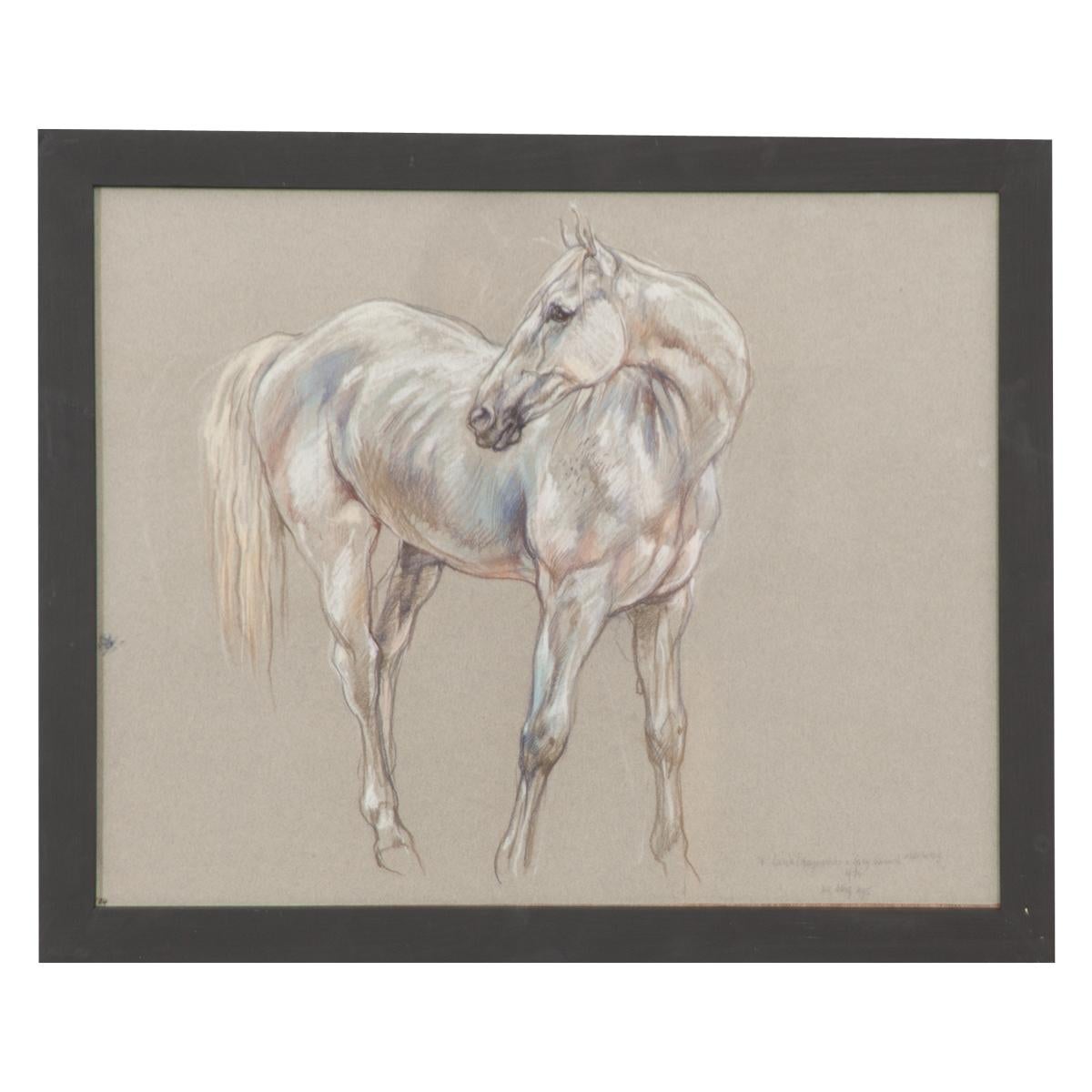 Show Horse Drawing by Leslie Charlotte Benenson