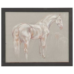 Show Horse Drawing by Leslie Charlotte Benenson