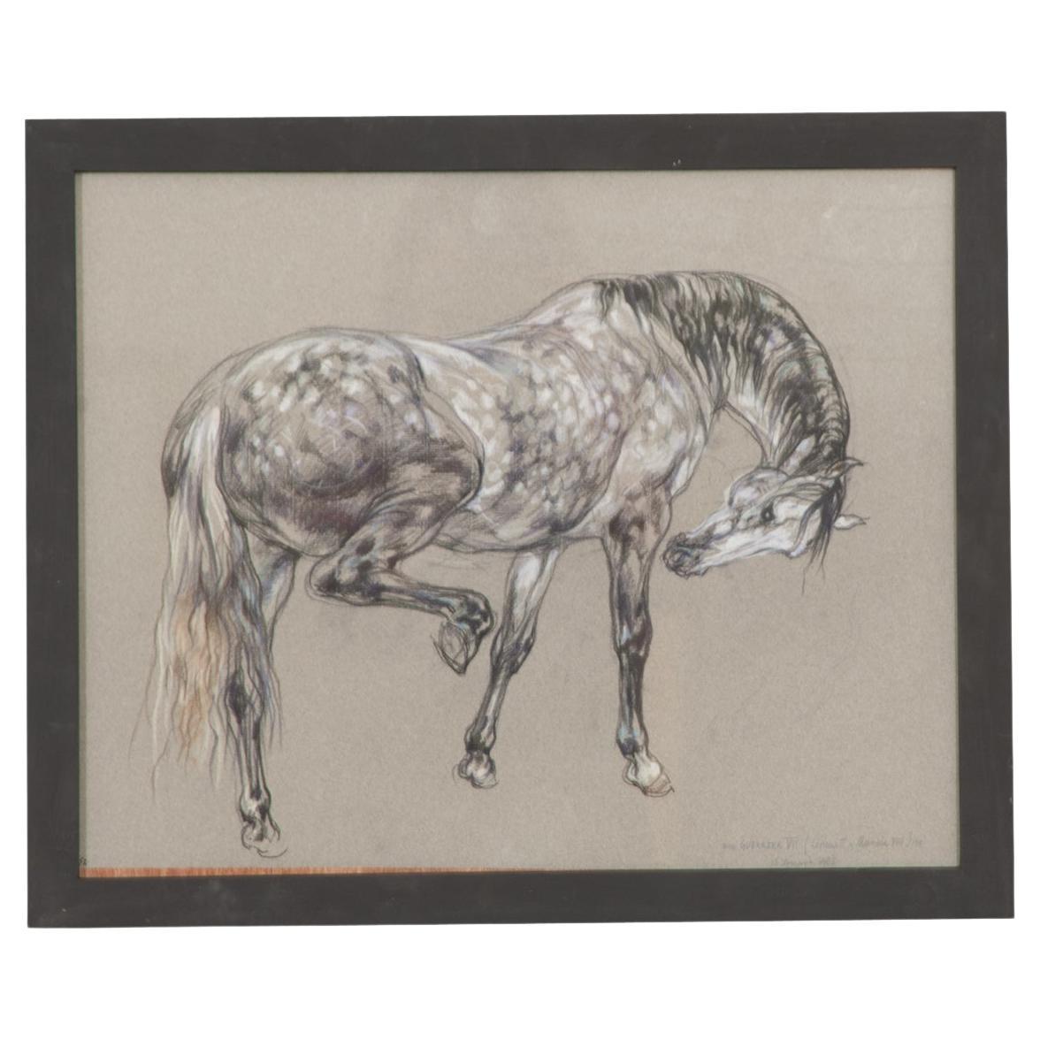 Show Horse Drawing by Leslie Charlotte Benenson For Sale