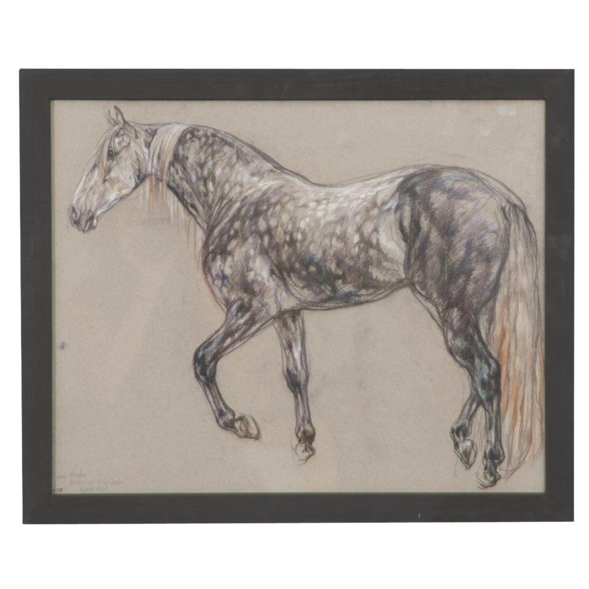 Show Horse Drawing by Leslie Charlotte Benenson