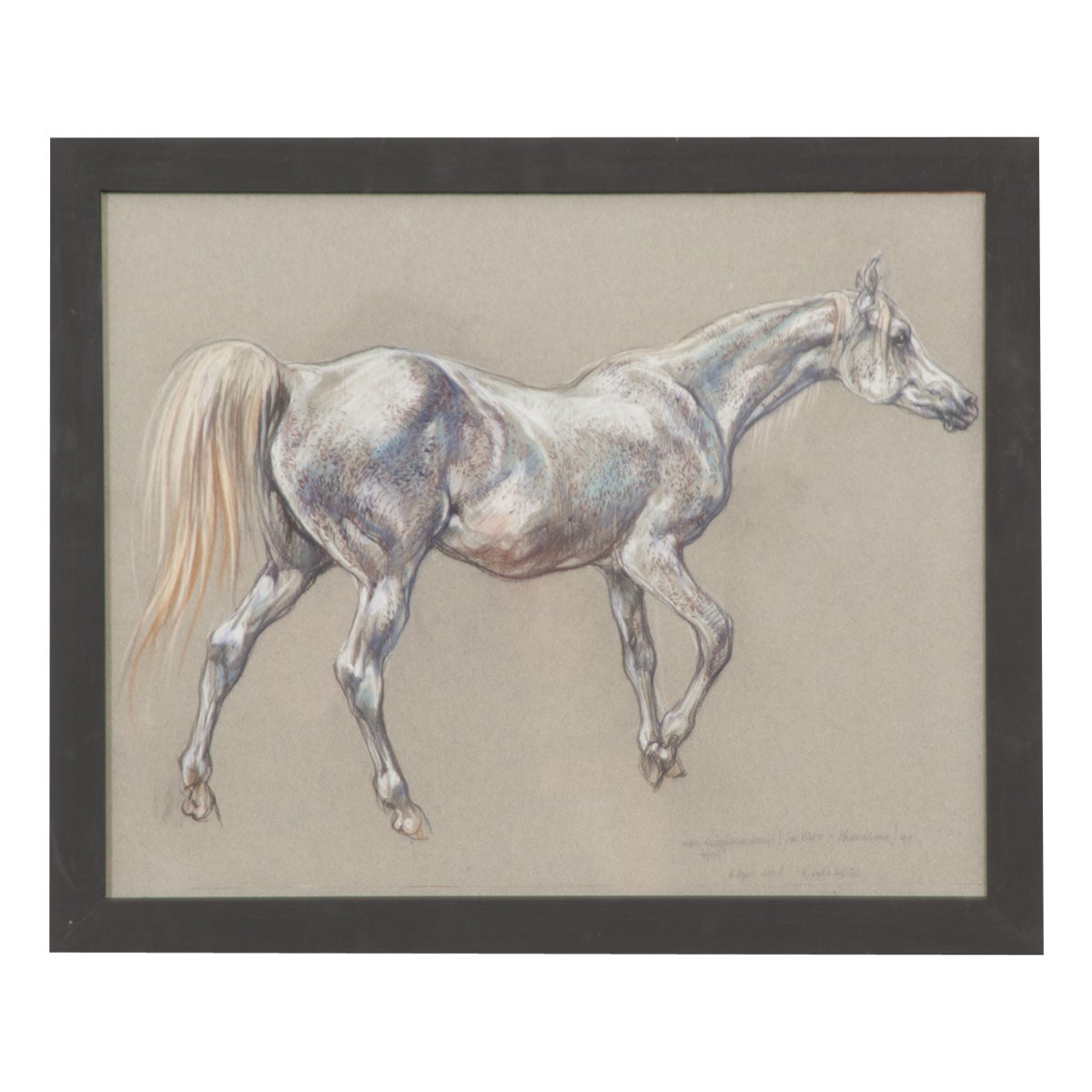 Show-Pferd-Zeichnung von Leslie Charlotte Benenson
