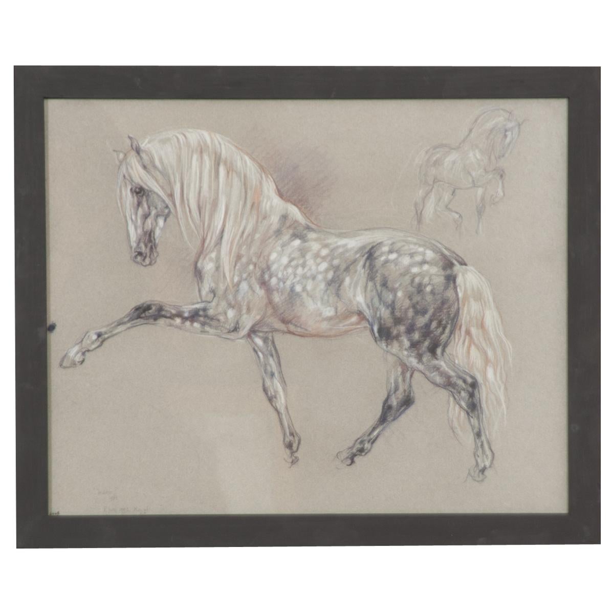 Show-Pferd-Zeichnung von Leslie Charlotte Benenson