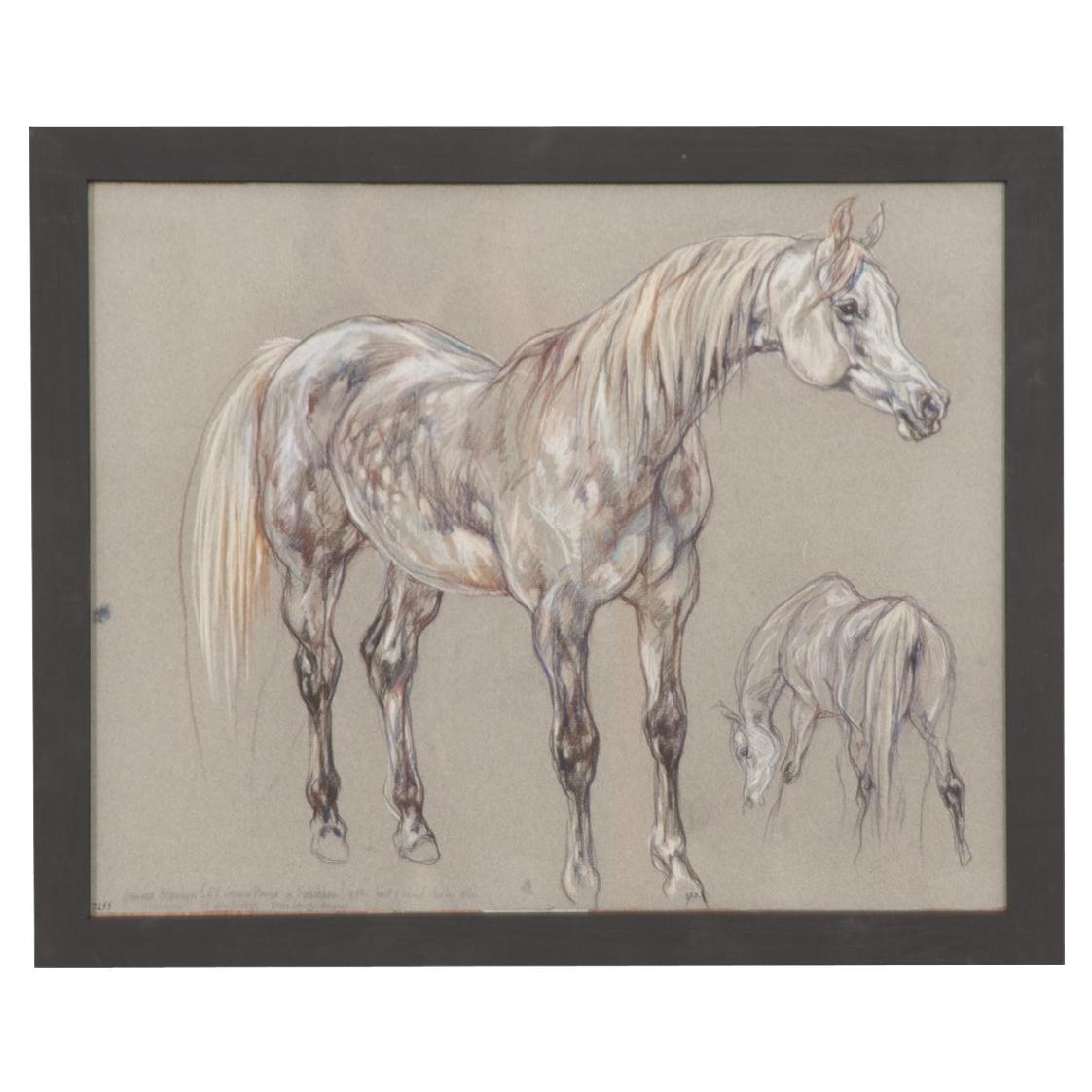 Show Horse Drawing by Leslie Charlotte Benenson For Sale