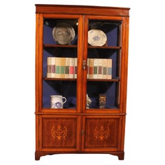 Showcase Cabinet / Vitrine in Mahogany and Inlays from the 19th Century
