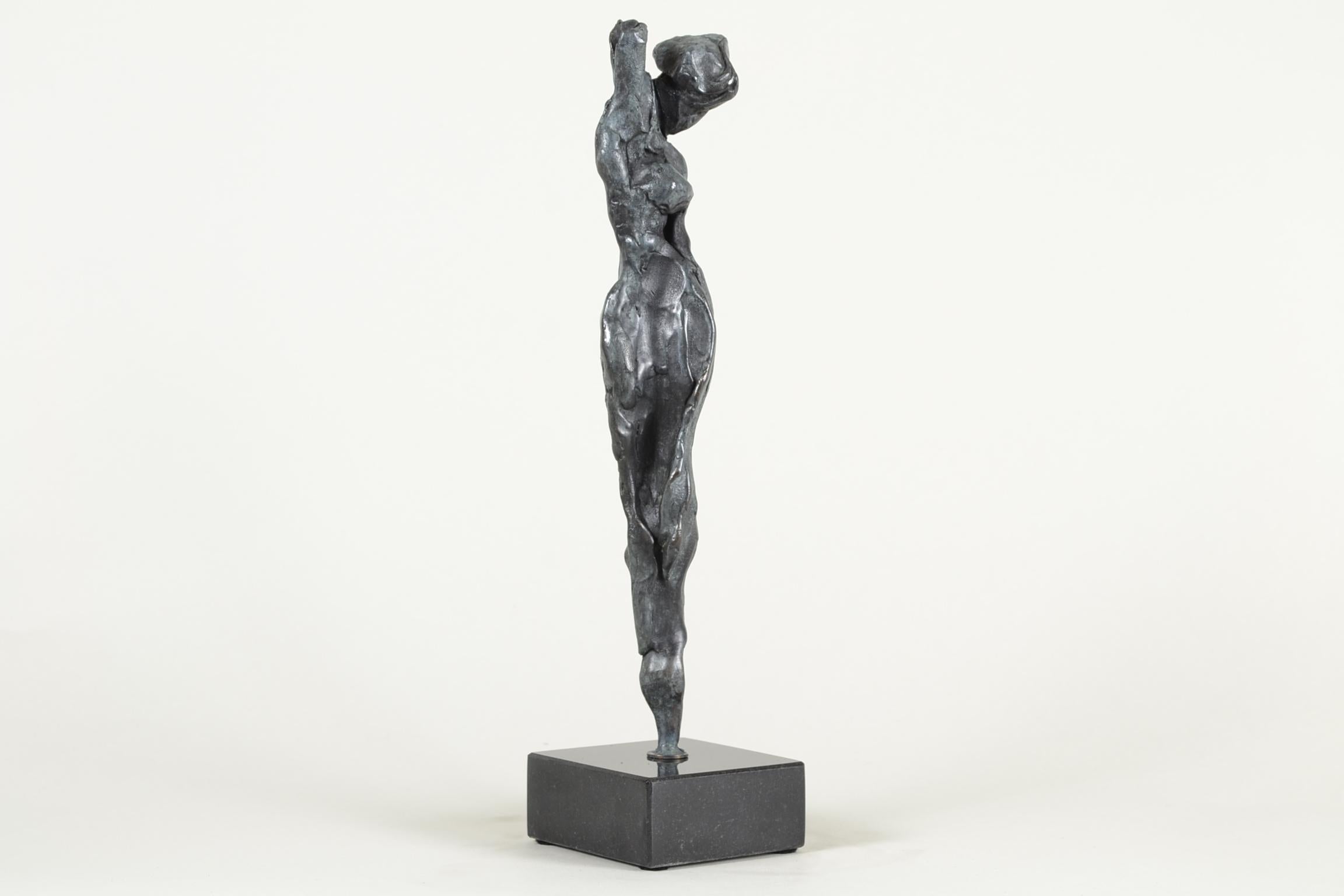 Captured Stillness, Bronze Abstract Sculpture, Contemporary Sculpture, 2018