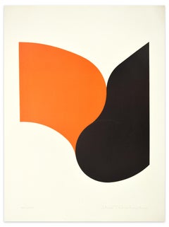 The Calumny - Orange Version -  Original Mixed Media by Shu Takahashi - 1970s