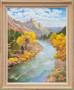 Blick auf den Virgin River