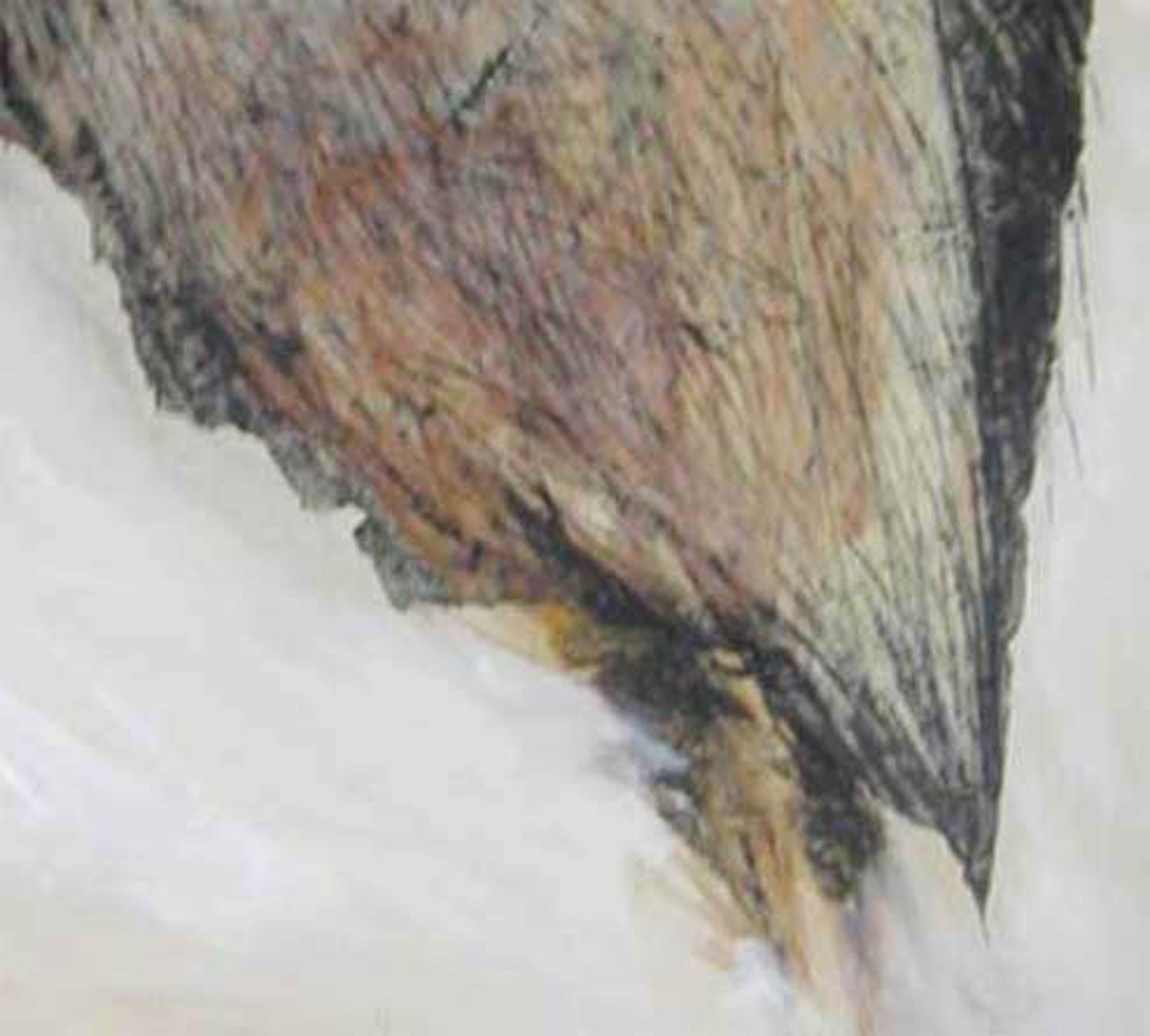 Owl, Goddess Laxmi's Consort, Mixed Media on paper, Brown, Grey colors