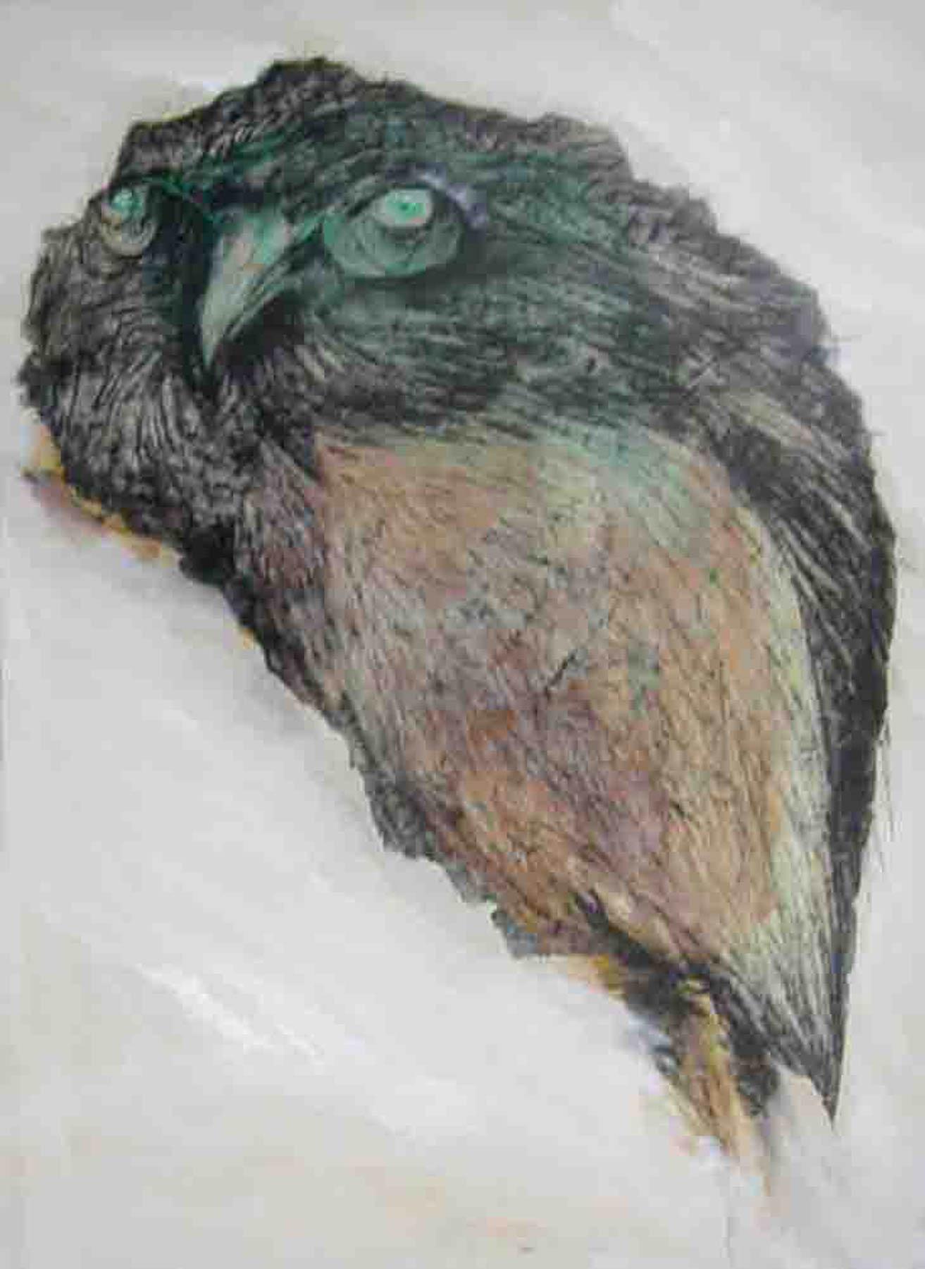 Owl, Goddess Laxmi's Consort, Mixed Media on paper, Brown, Grey colors"In Stock" - Mixed Media Art by Shuvaprasanna Bhattacharya