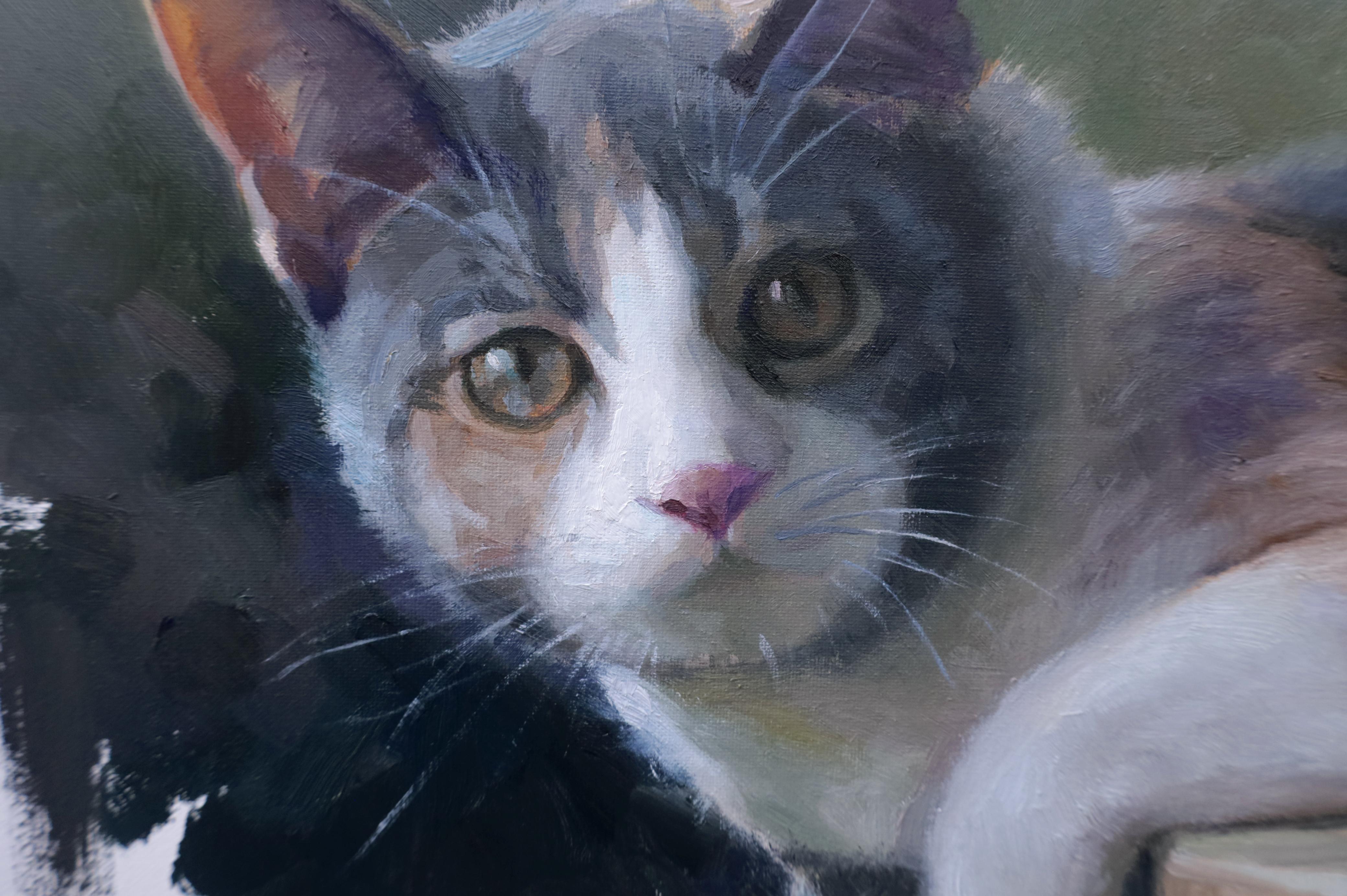 Cat - Who Are You, Oil Painting For Sale 1