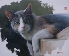 Used Cat - Who Are You, Oil Painting