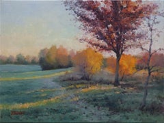 Used Neighborhood Park in Fall, Oil Painting