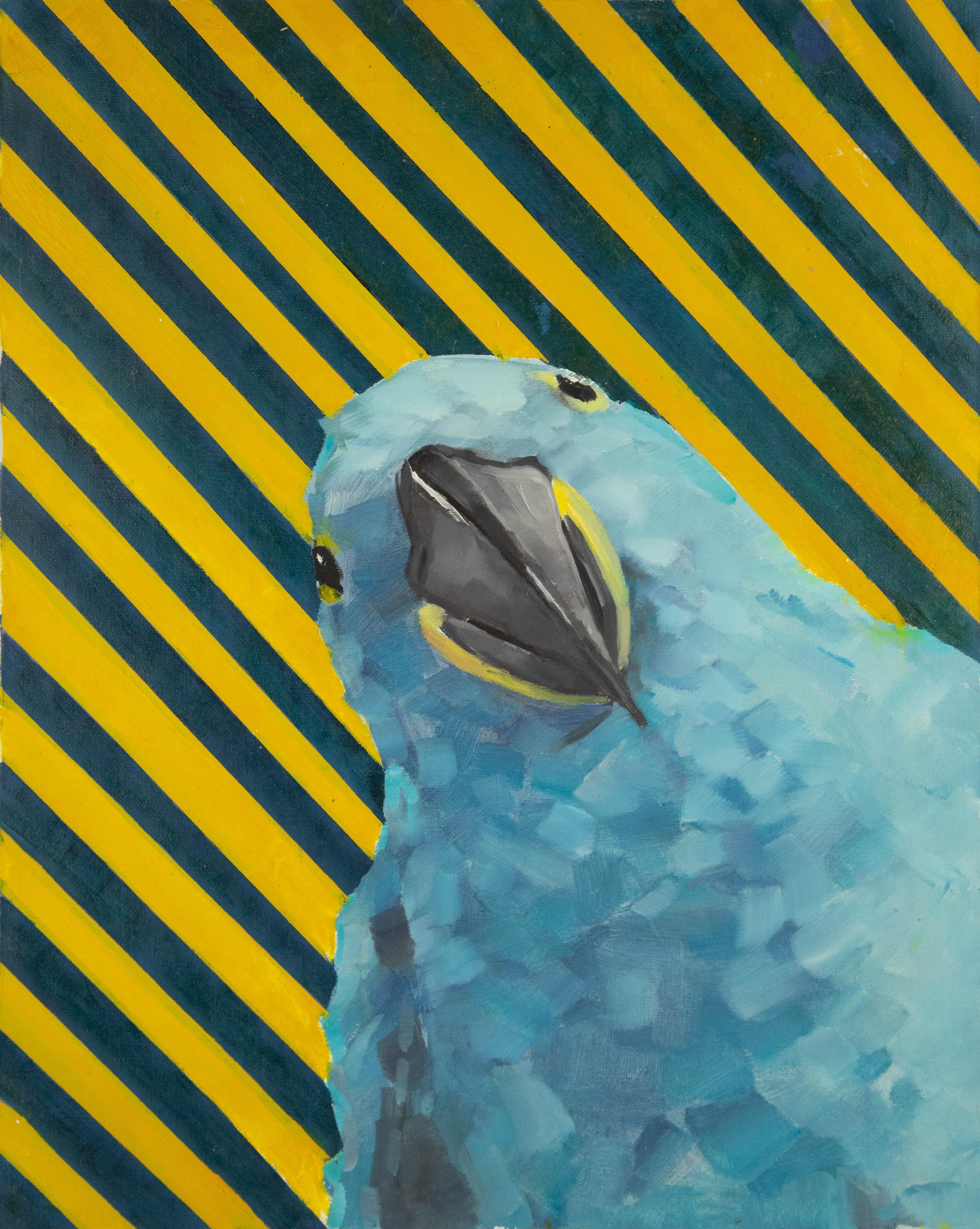 ShuXu Han Animal Painting - Shuxu Han Animal Original Oil On Canvas "Stripes and Blue Bird"
