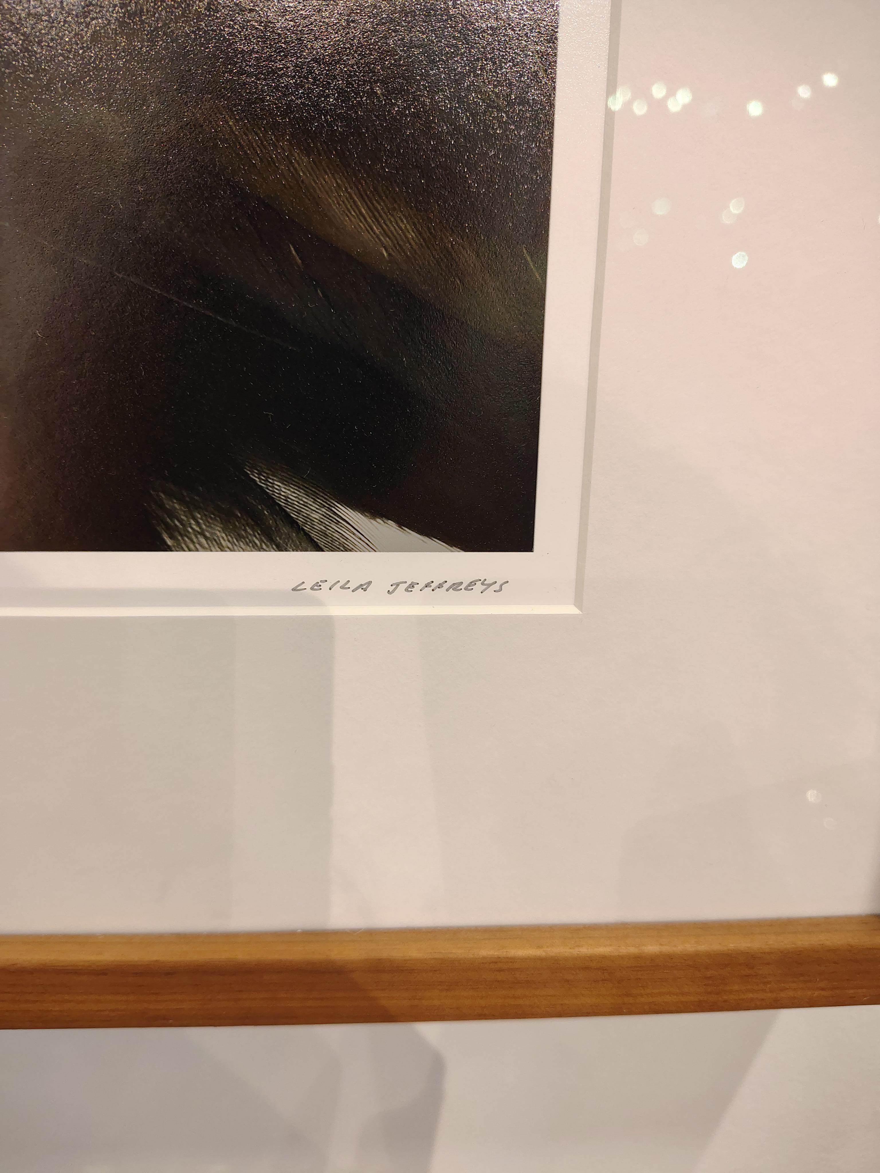 Shytan der Steinadler von Leila Jeffreys im Zustand „Hervorragend“ im Angebot in Atlanta, GA