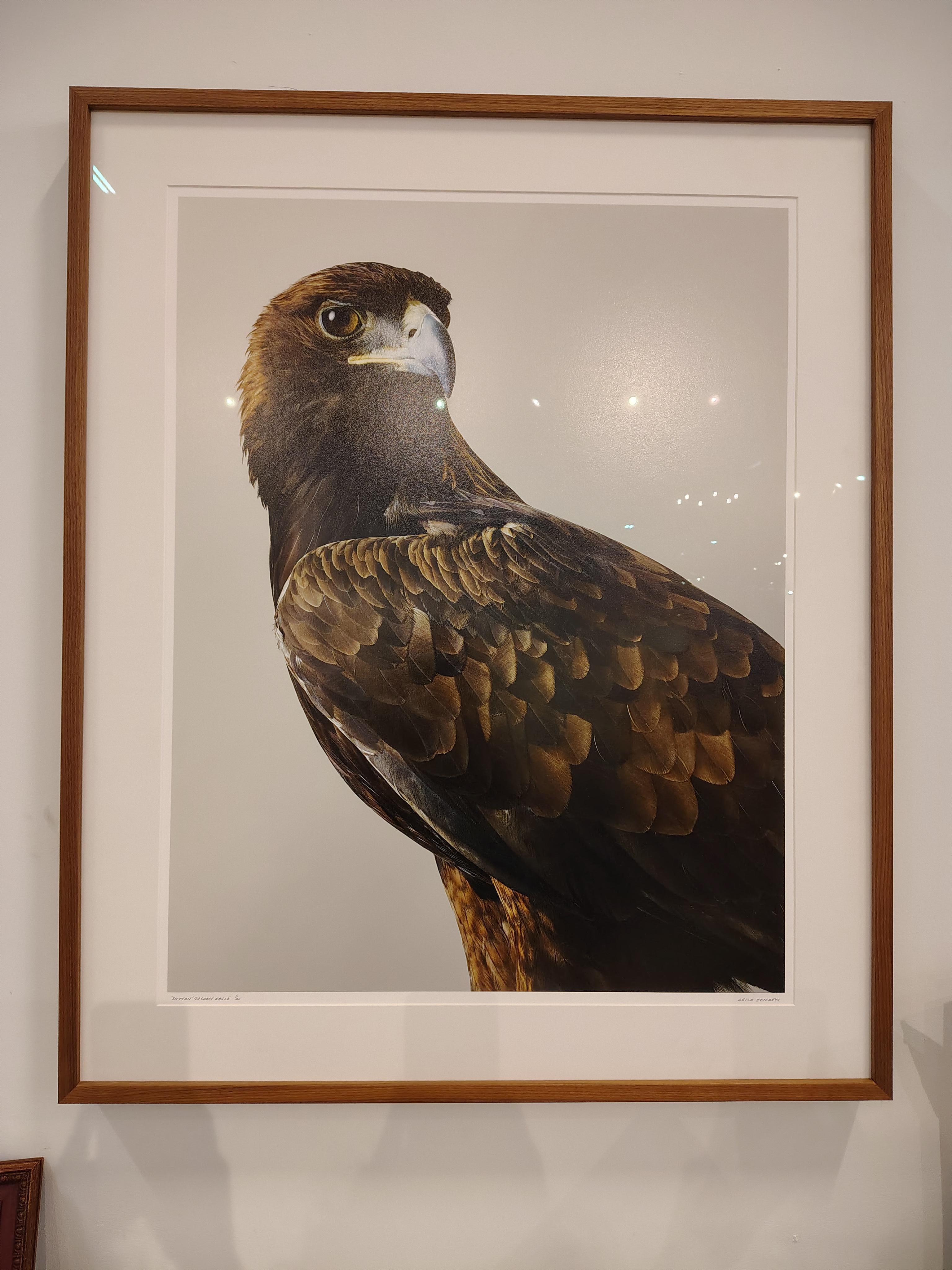 Shytan der Steinadler von Leila Jeffreys (21. Jahrhundert und zeitgenössisch) im Angebot