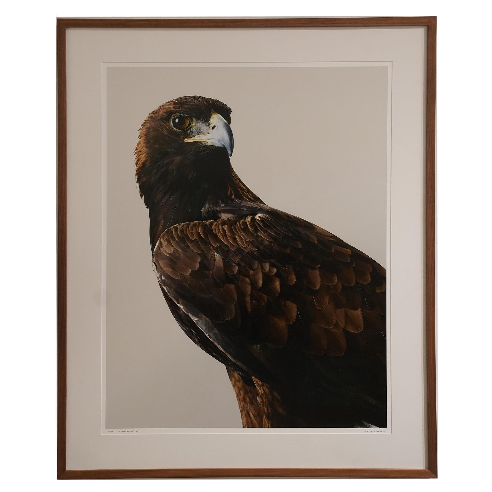 Shytan der Steinadler von Leila Jeffreys im Angebot