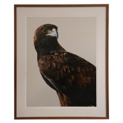 Papier Fotografie