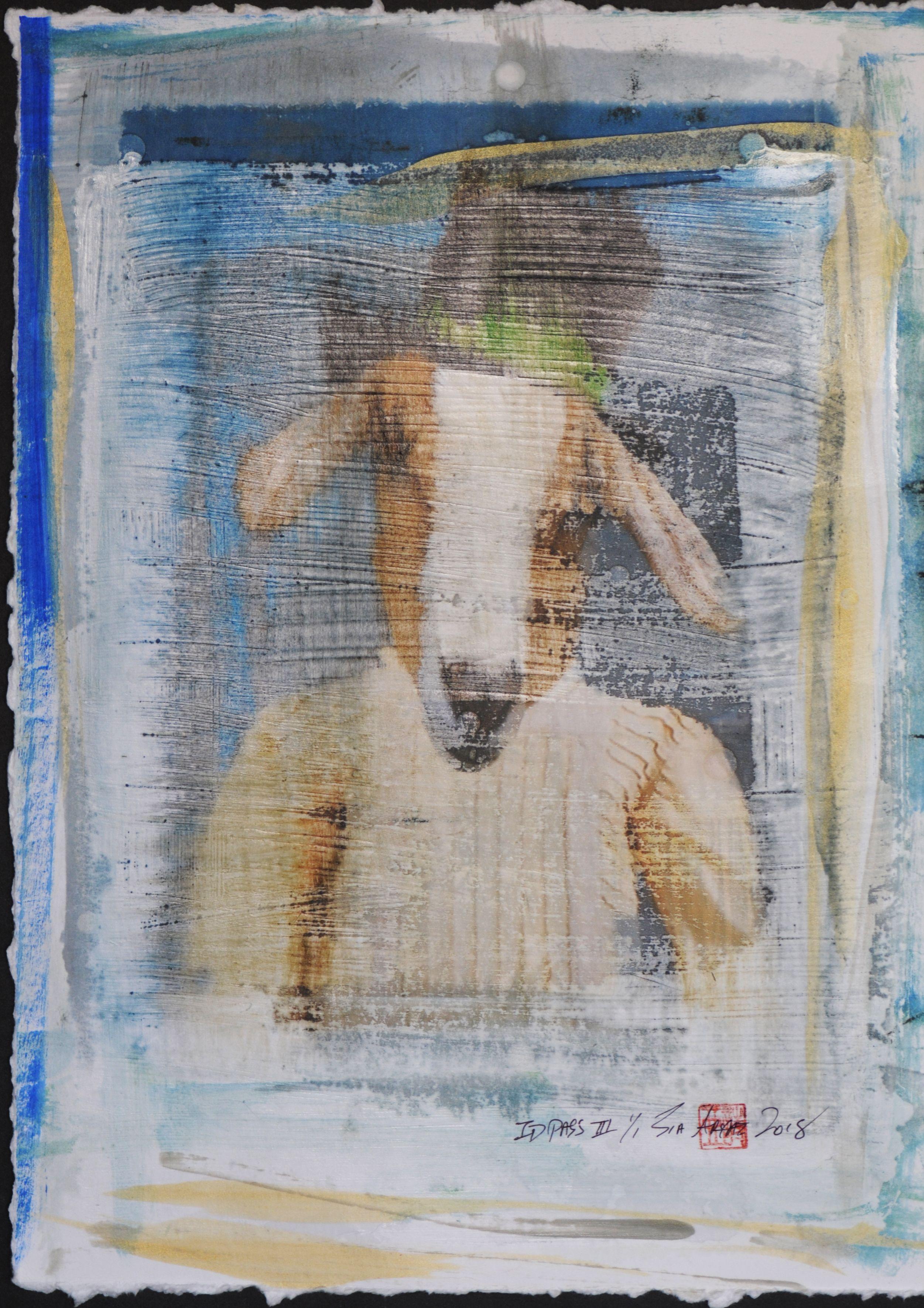 ID Pass . III edition # 1 of 1, Mixed Media on Paper - Mixed Media Art by Sia Aryai
