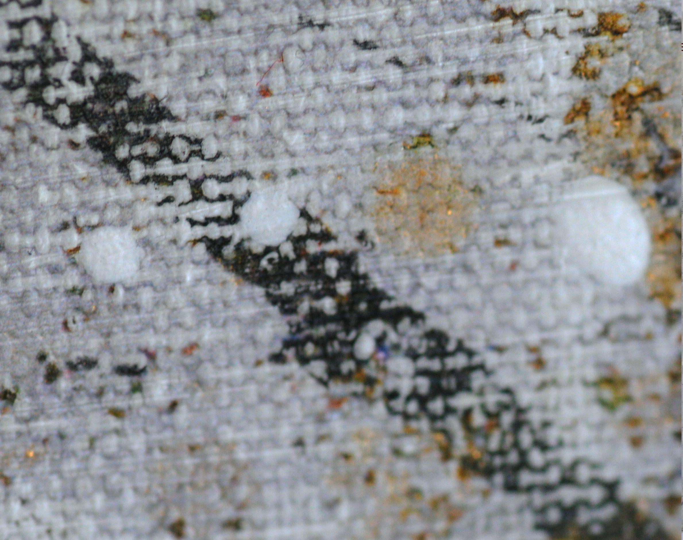 La toile élégante de poids élevé est traitée avec plusieurs couches de  vernis, peint à la main avec de l'encre chromée métallique avant et après  l'impression. Vieilli par ponçage pour créer des métaphores visuelles. Toile  taille 30X44
