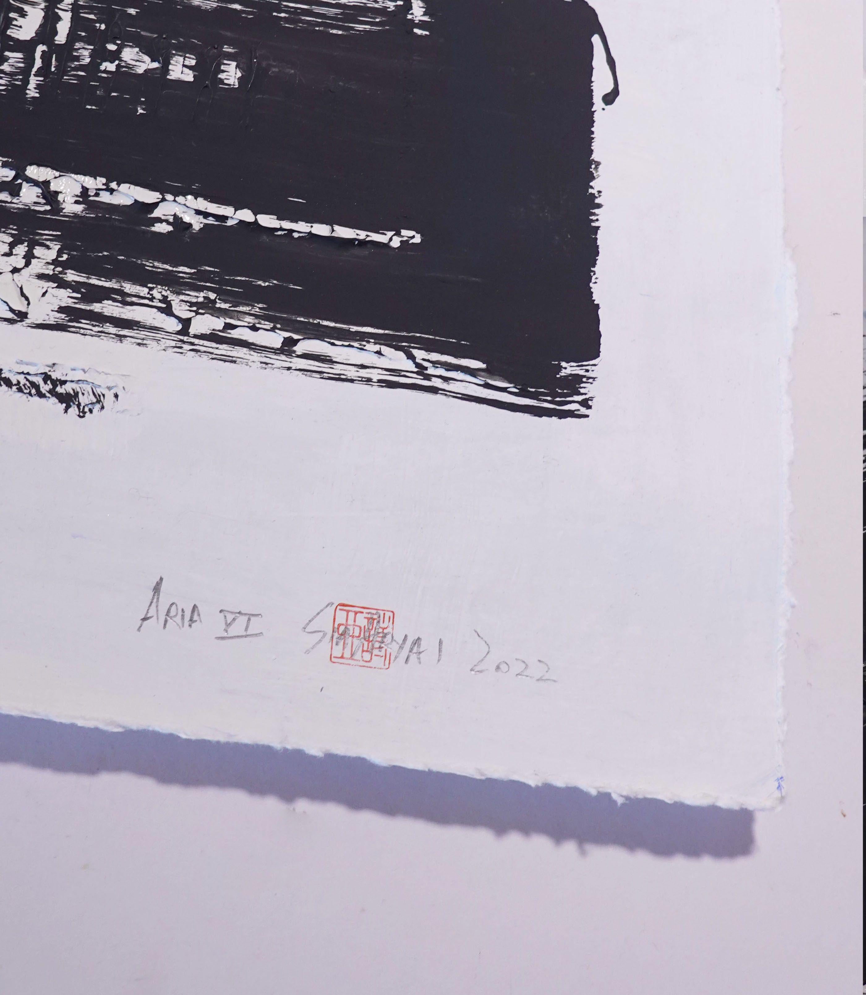 ARIA. VI  Gerahmtes abstraktes Schwarz-Wei-Gemlde, Gemlde, Acryl auf Papier im Angebot 1
