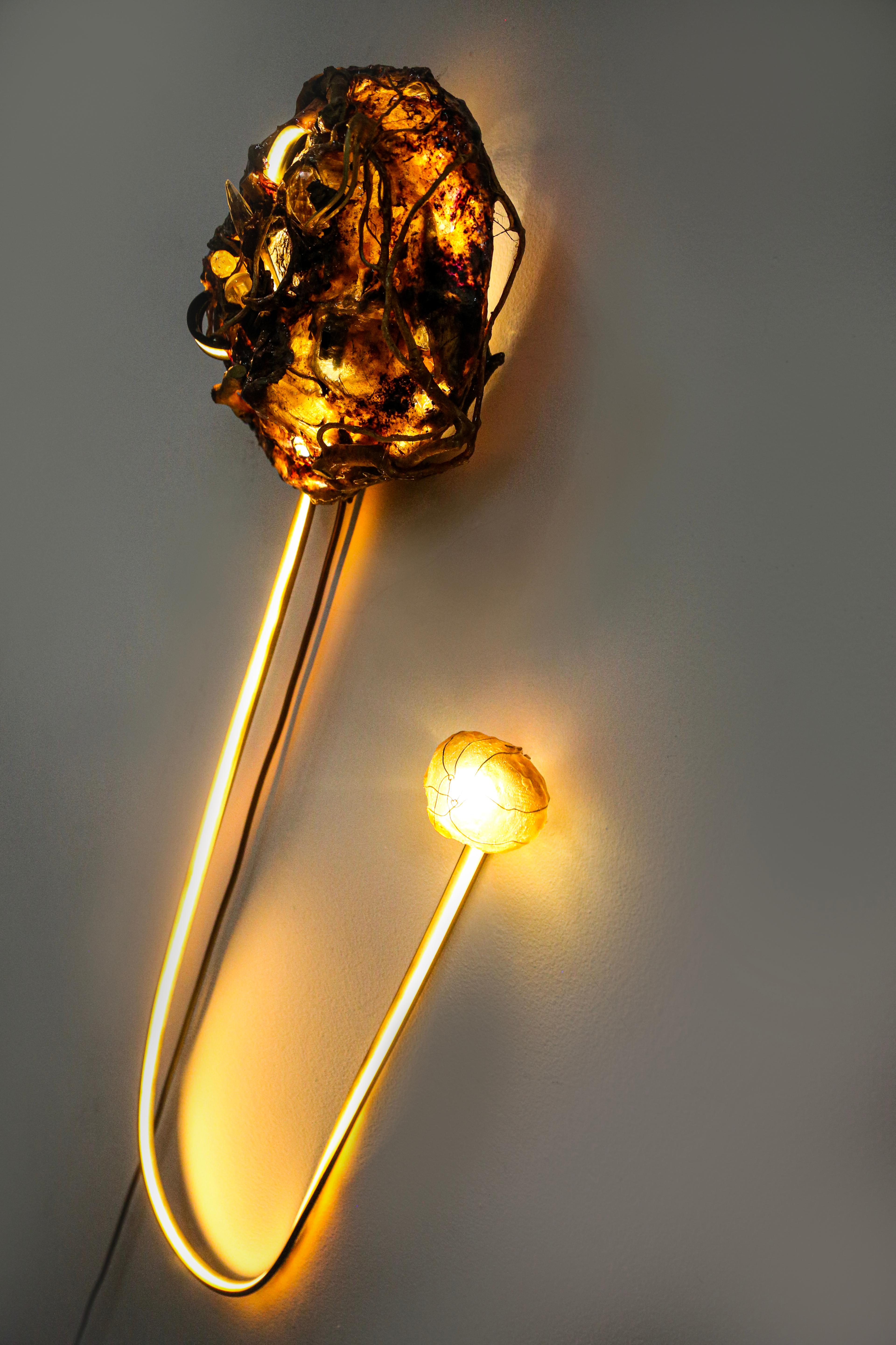 Lámpara de Pared Siamesas Madera en venta