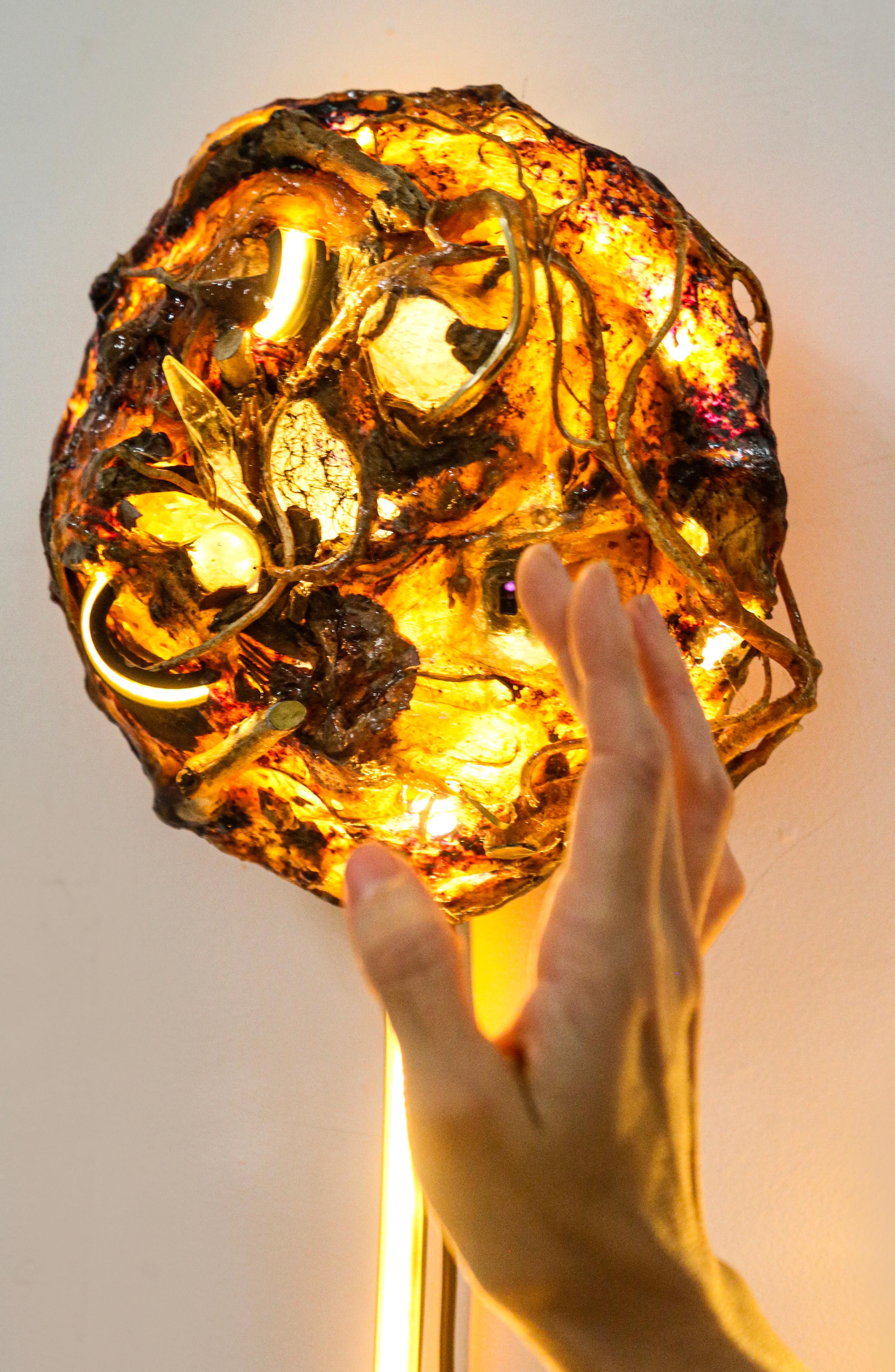 Lámpara de Pared Siamesas en venta 2