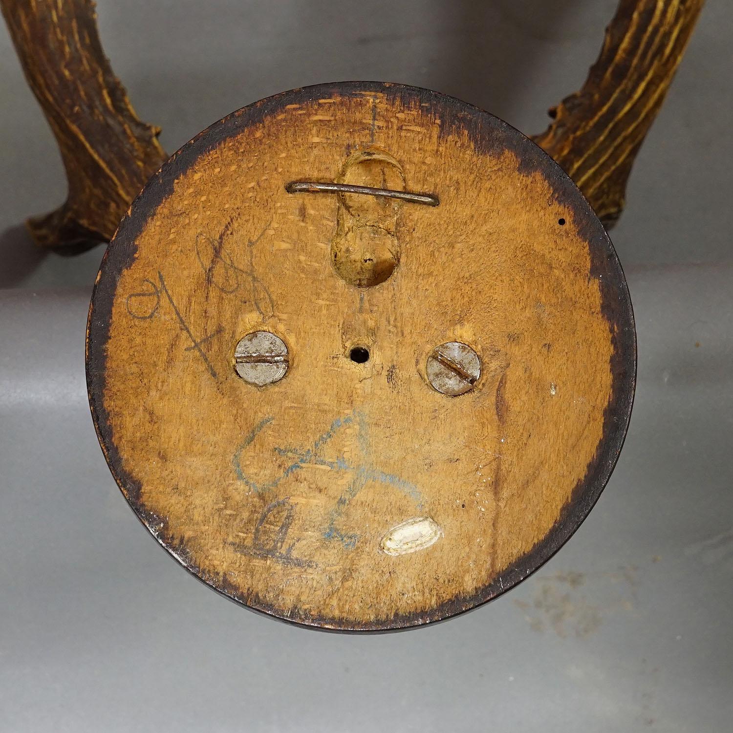 Sibirische Hirschtrophäenhalterung auf Holzplakette, ca. 1900er Jahre (19. Jahrhundert) im Angebot